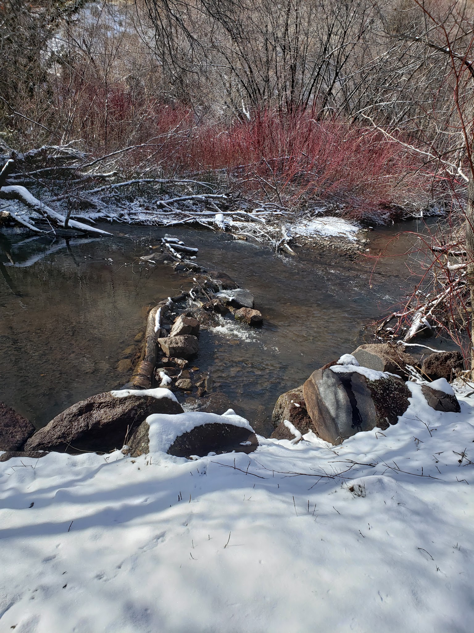 Harrington Fork Picnic Area