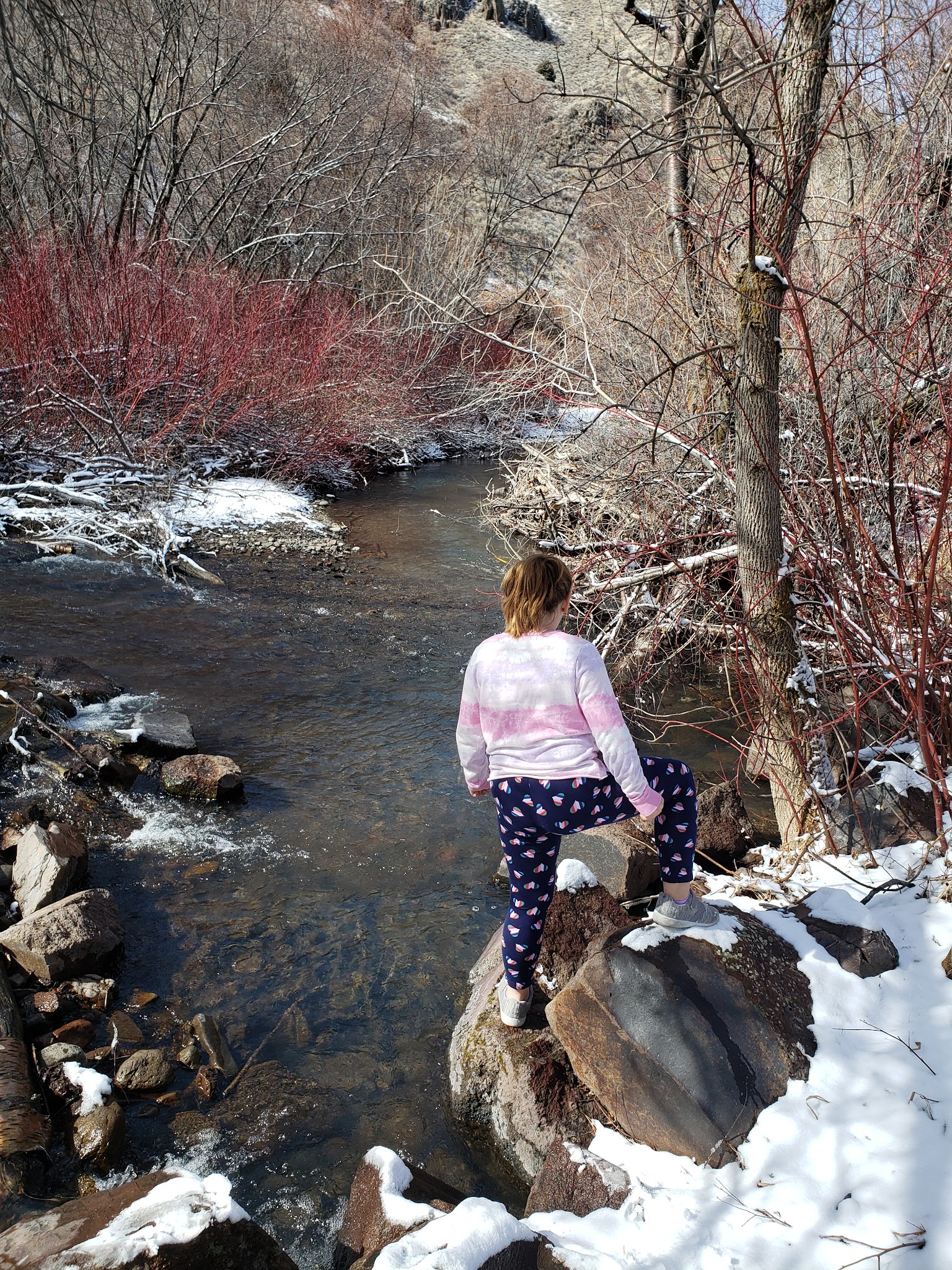 Harrington Fork Picnic Area
