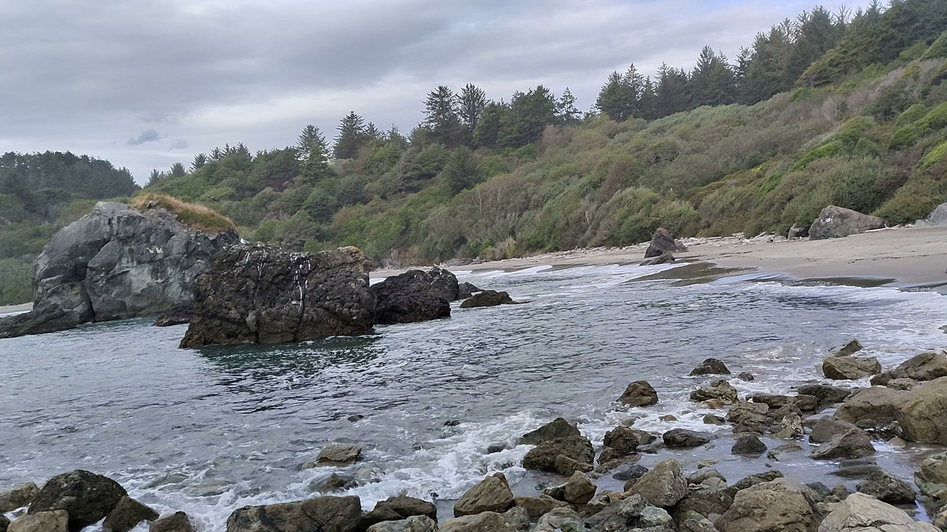 Harris Beach State Park