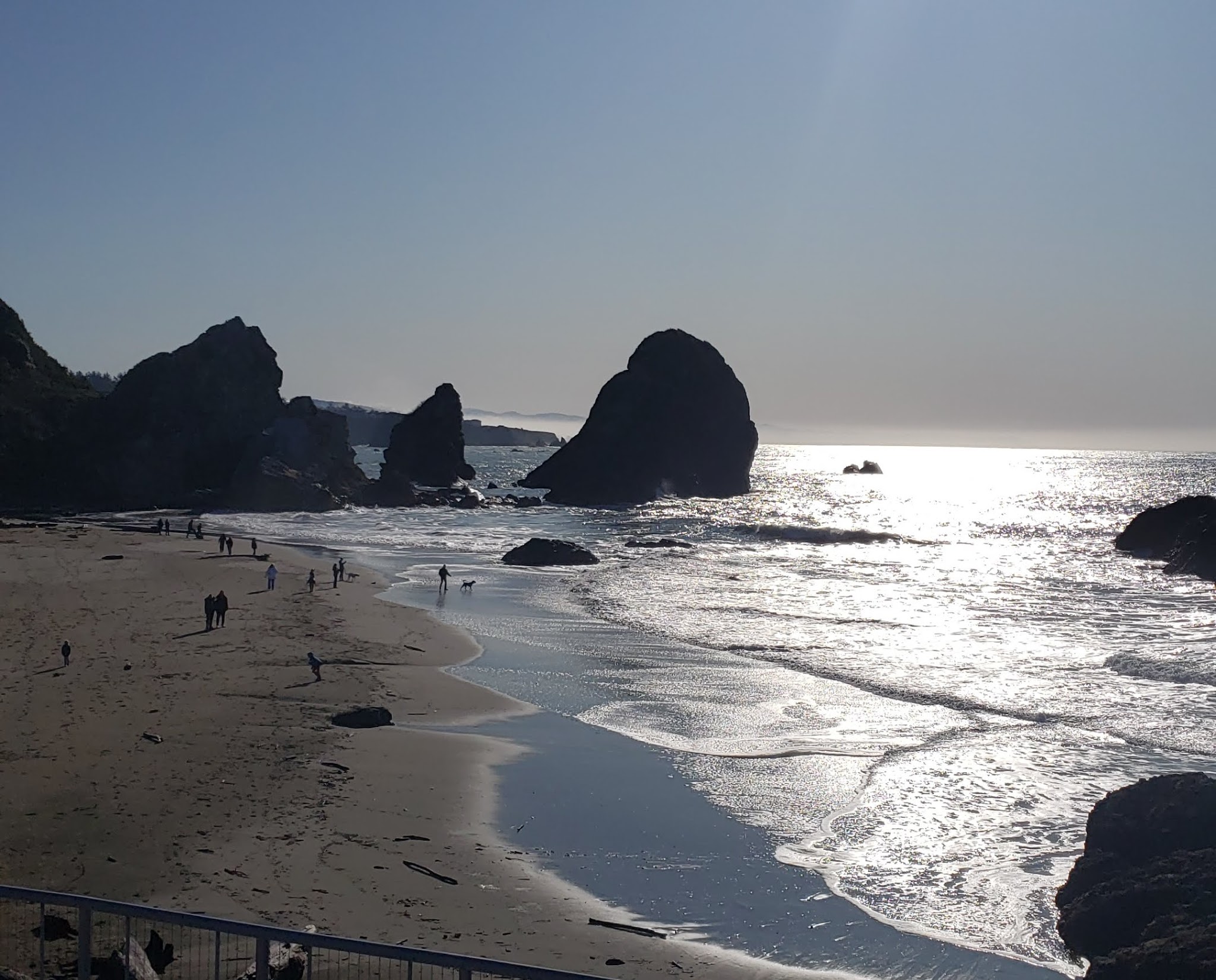 Harris Beach State Park