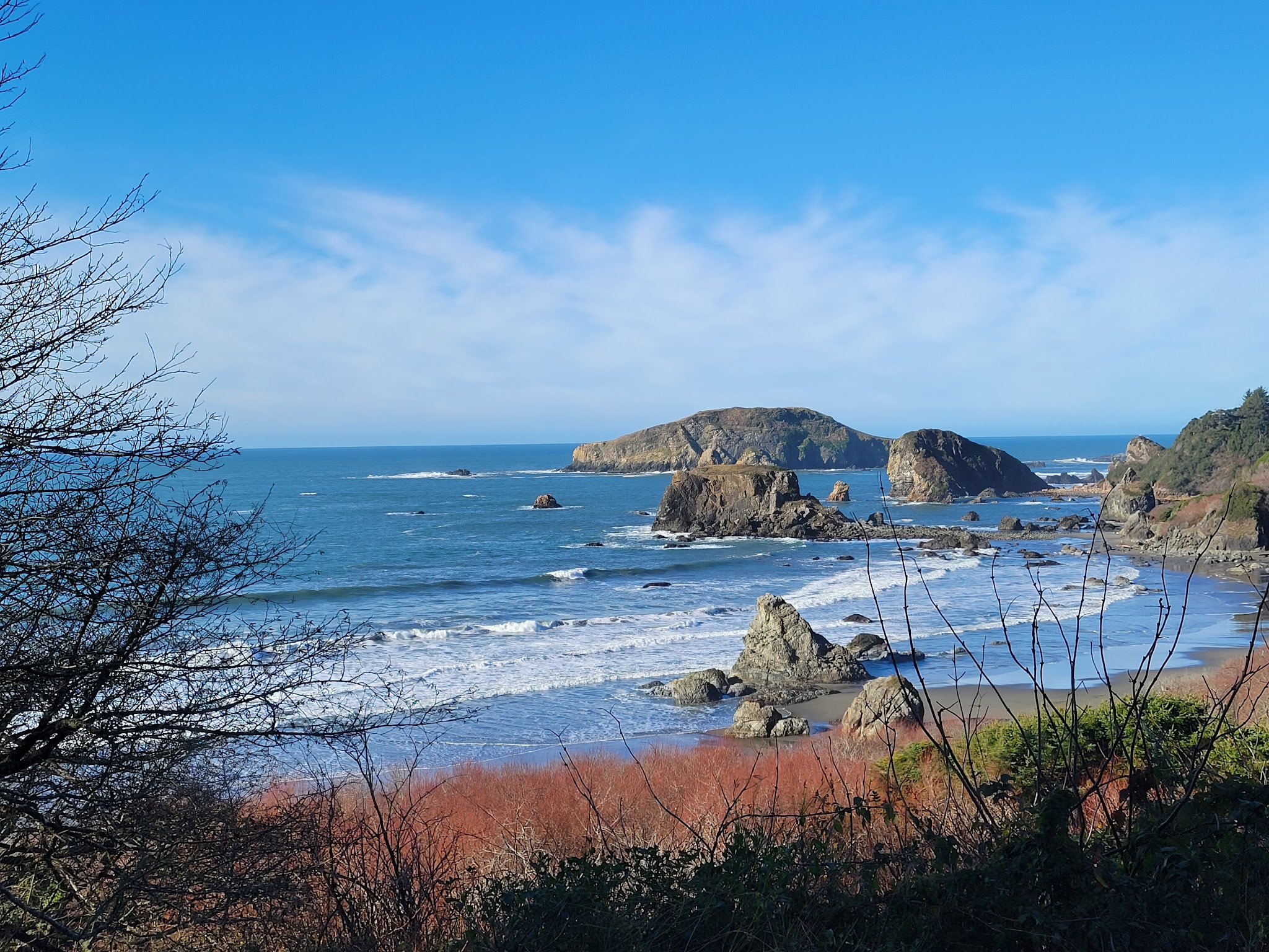 Harris Beach State Park