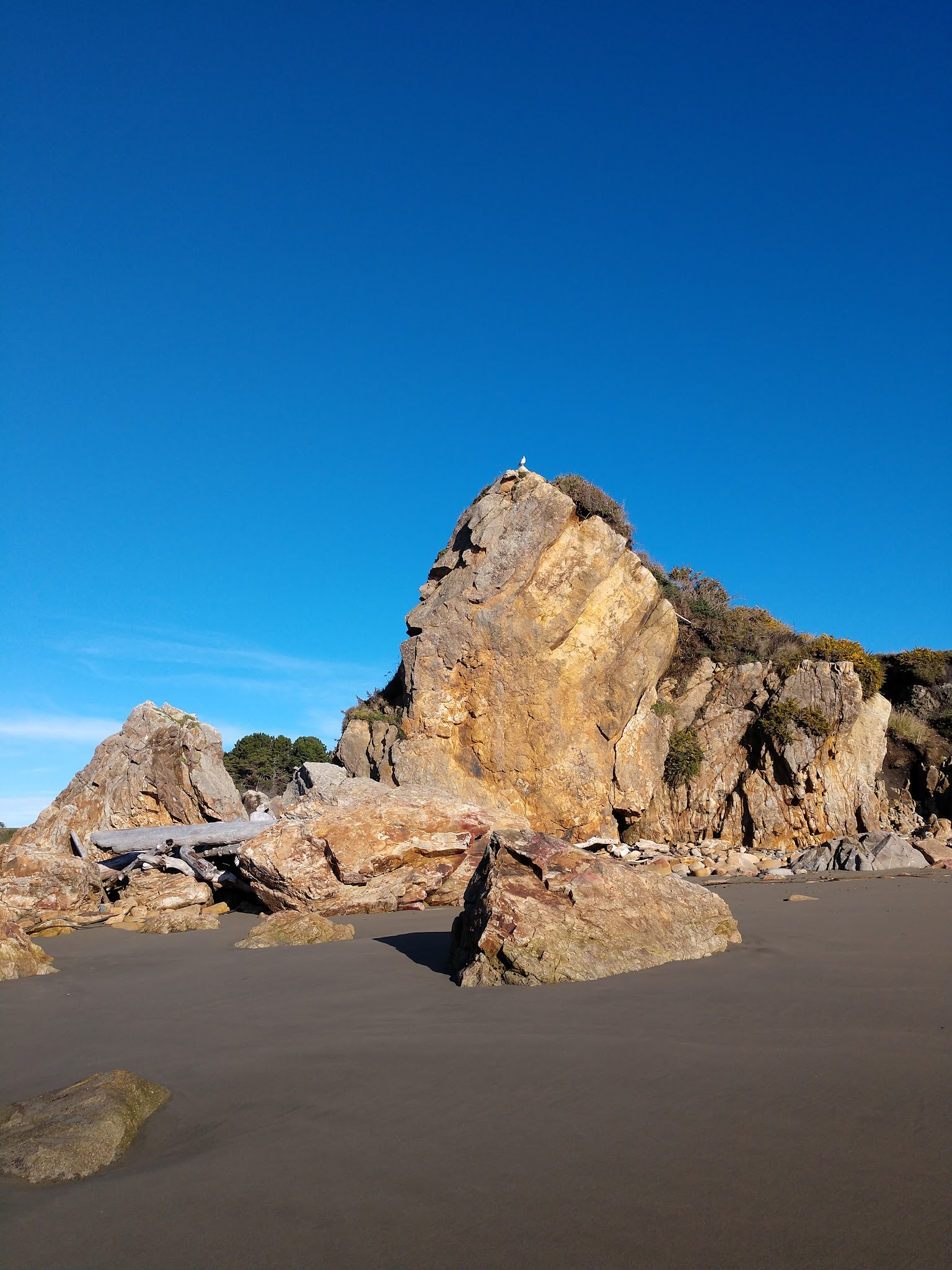 Harris Beach State Park