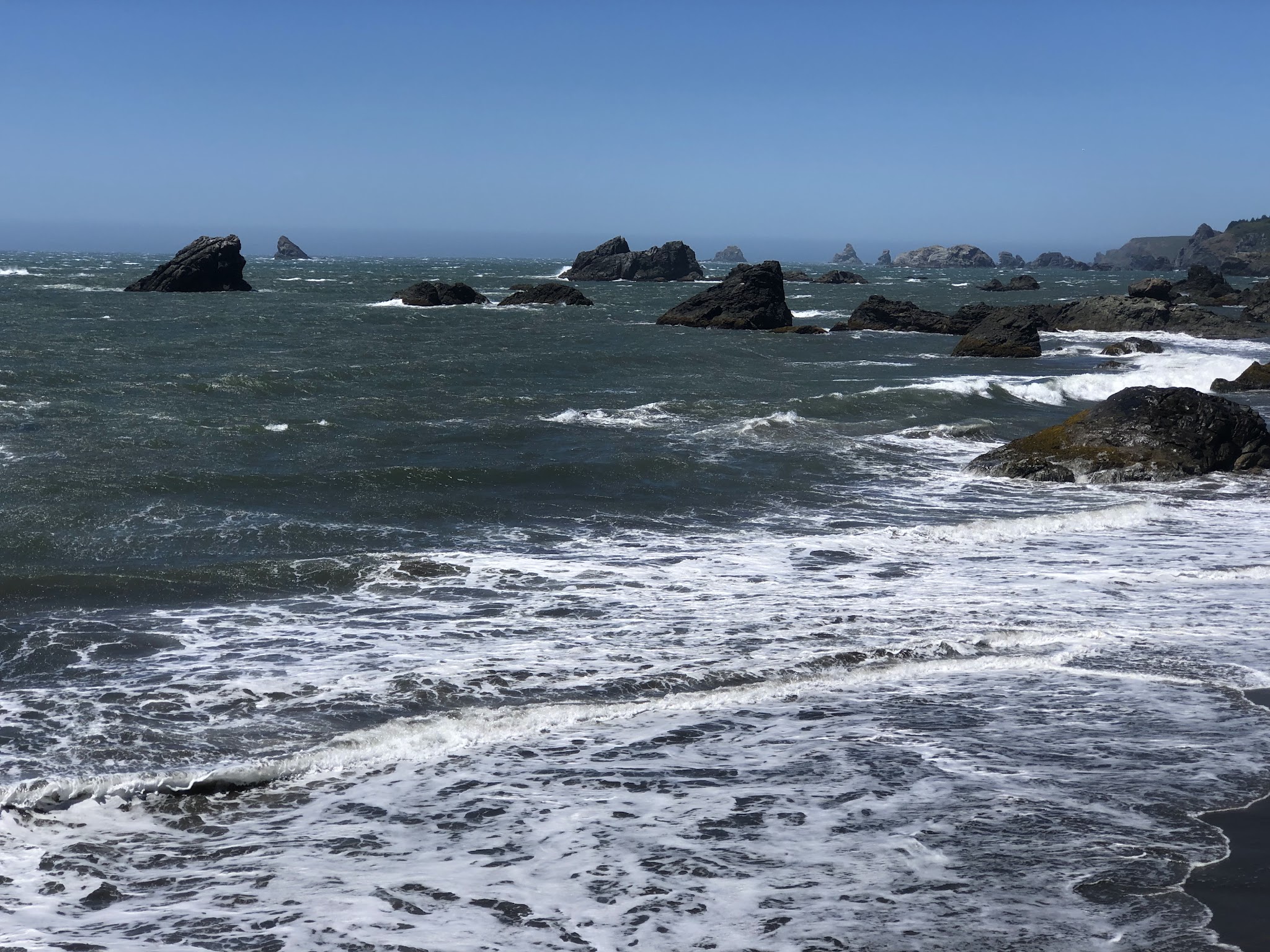 Harris Beach State Park