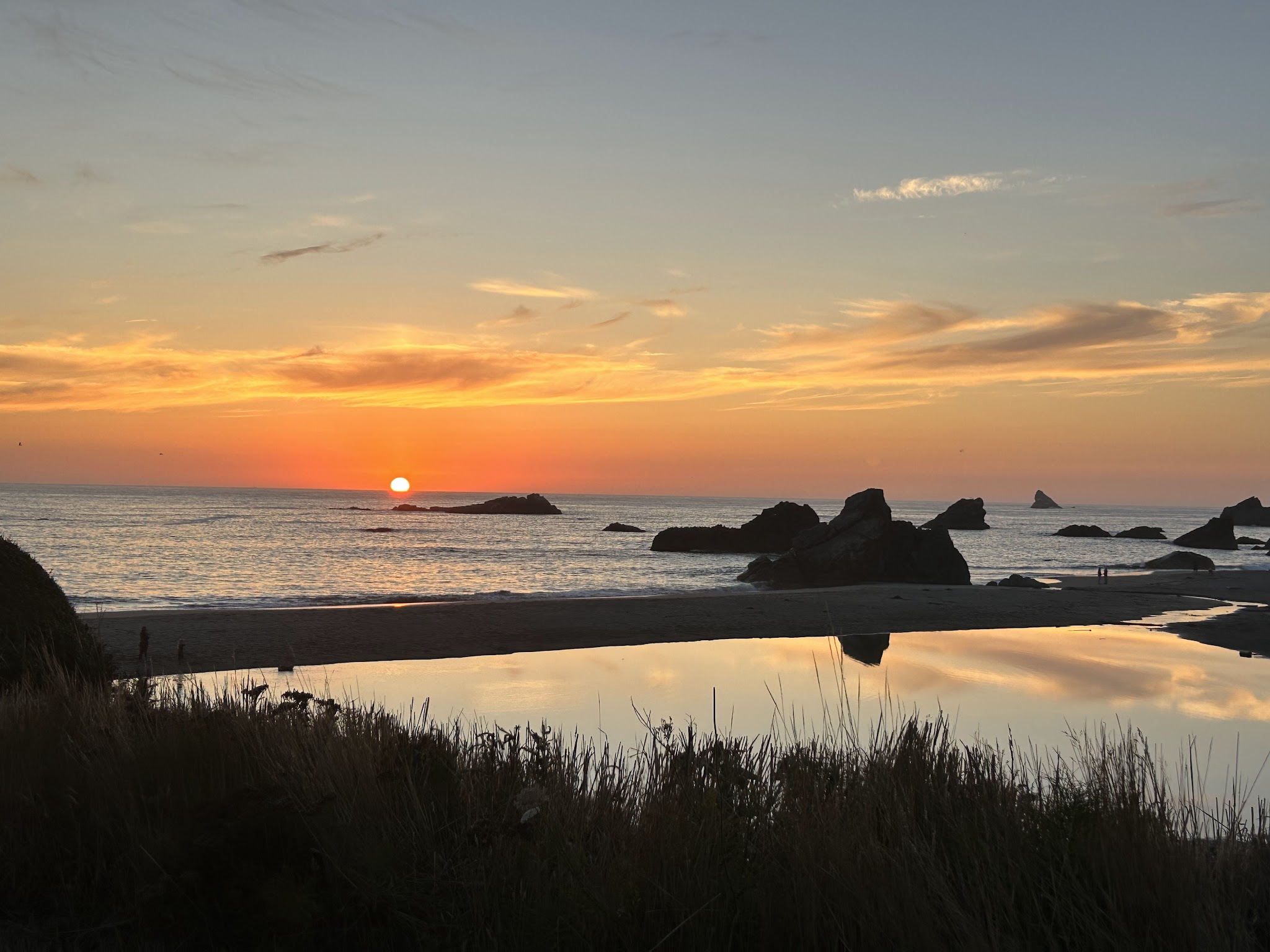 Harris Beach State Park