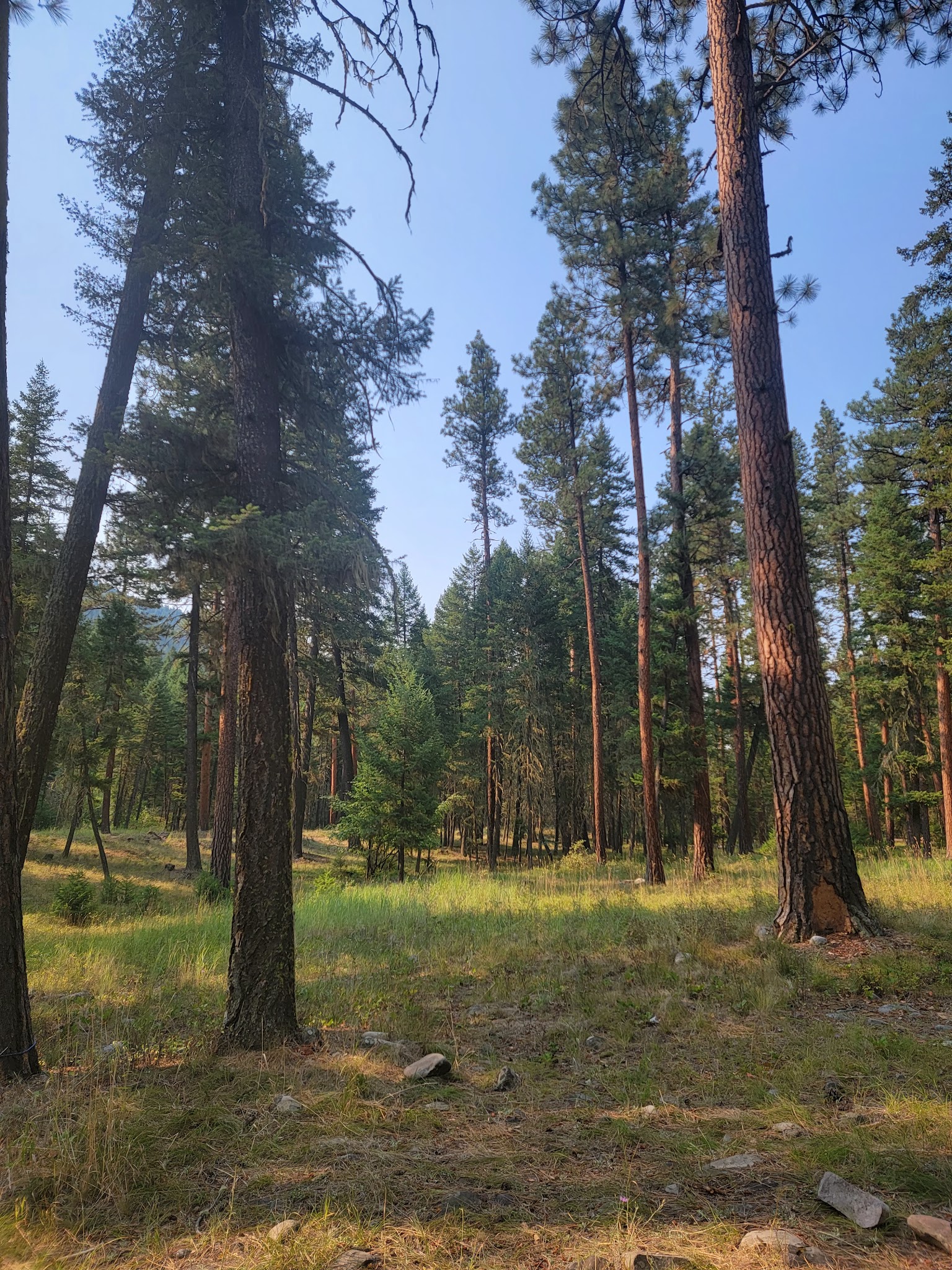 Harry'S Flat Campground