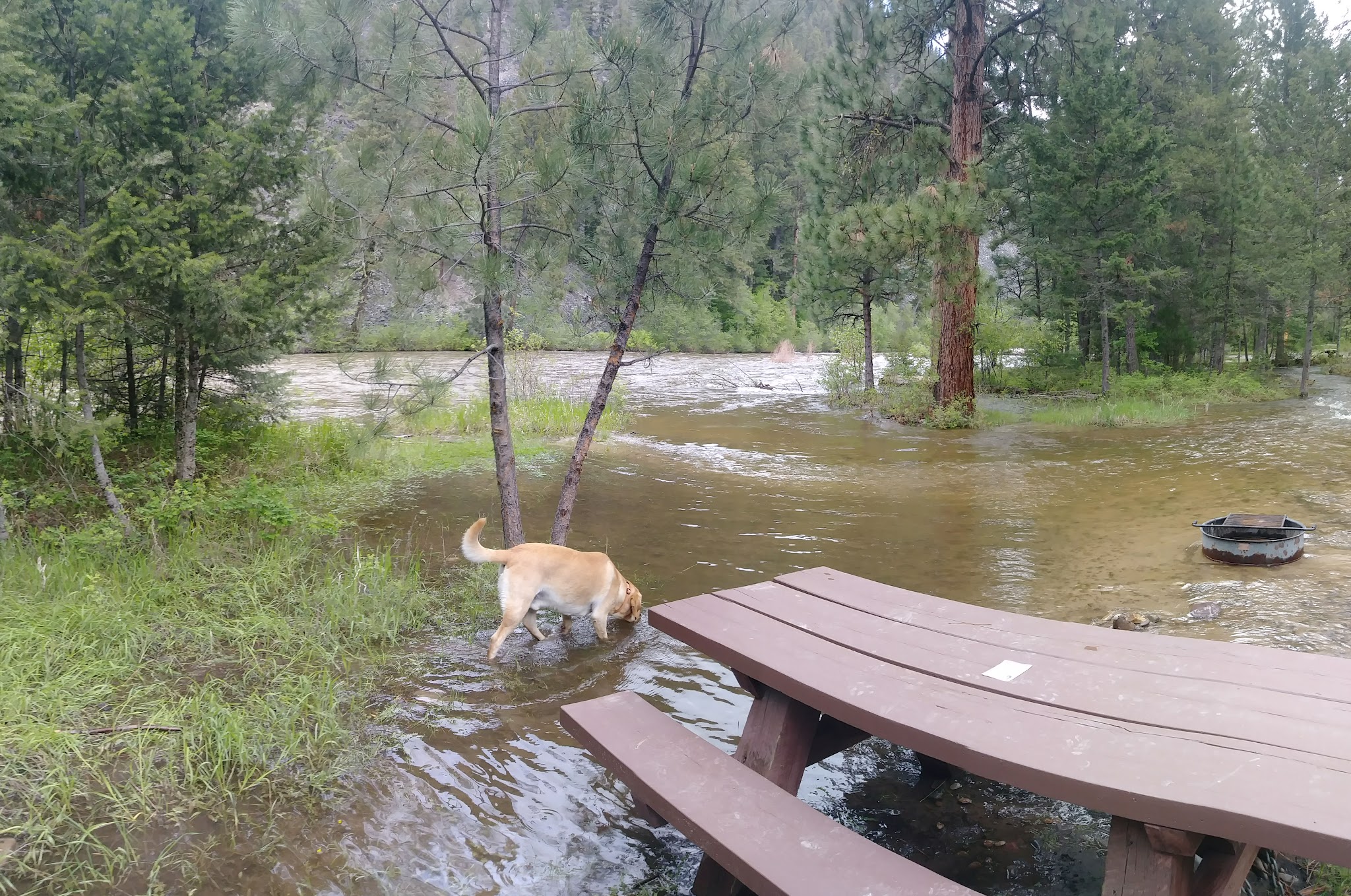 Harry'S Flat Campground