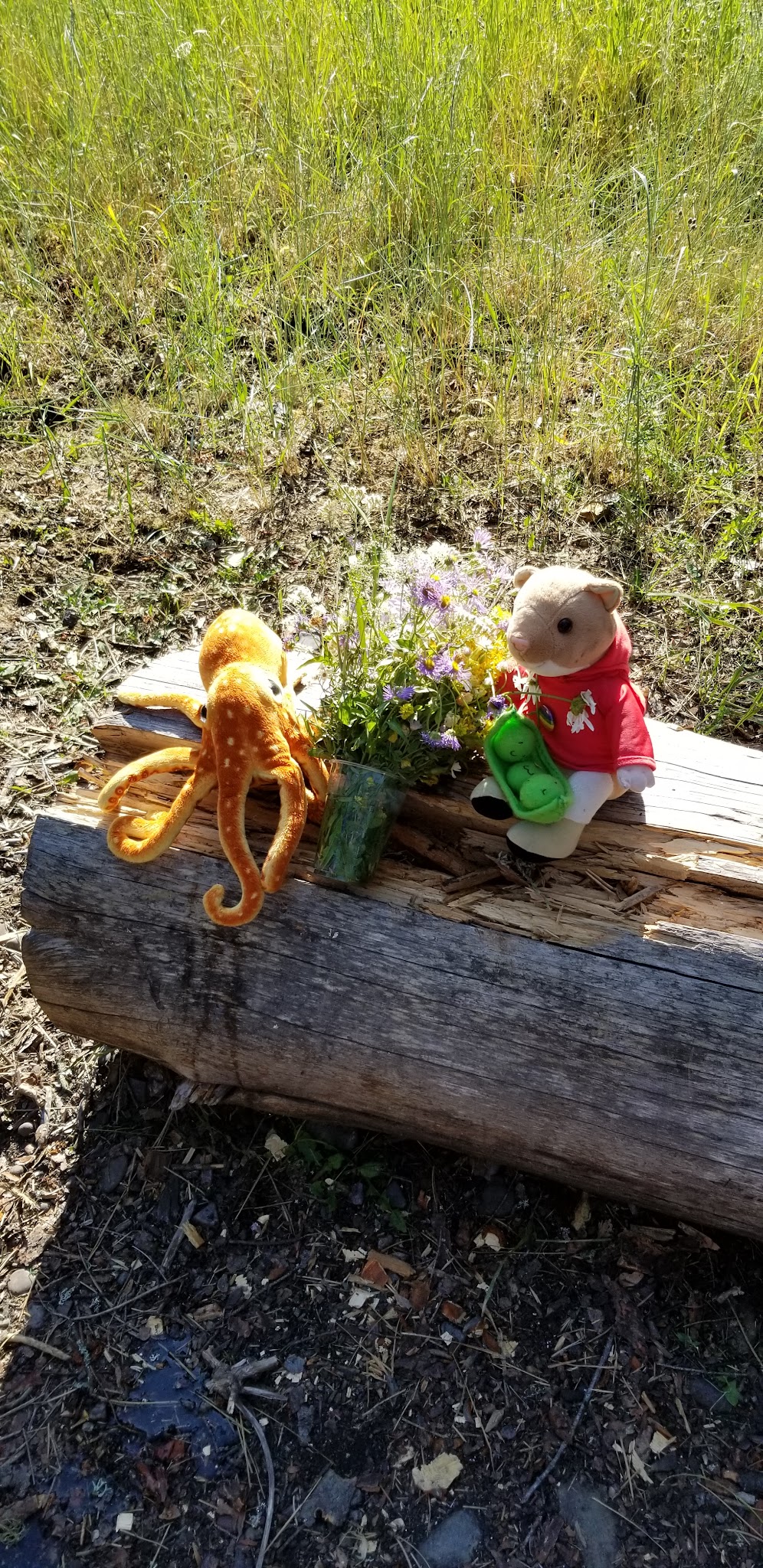 Harry'S Flat Campground