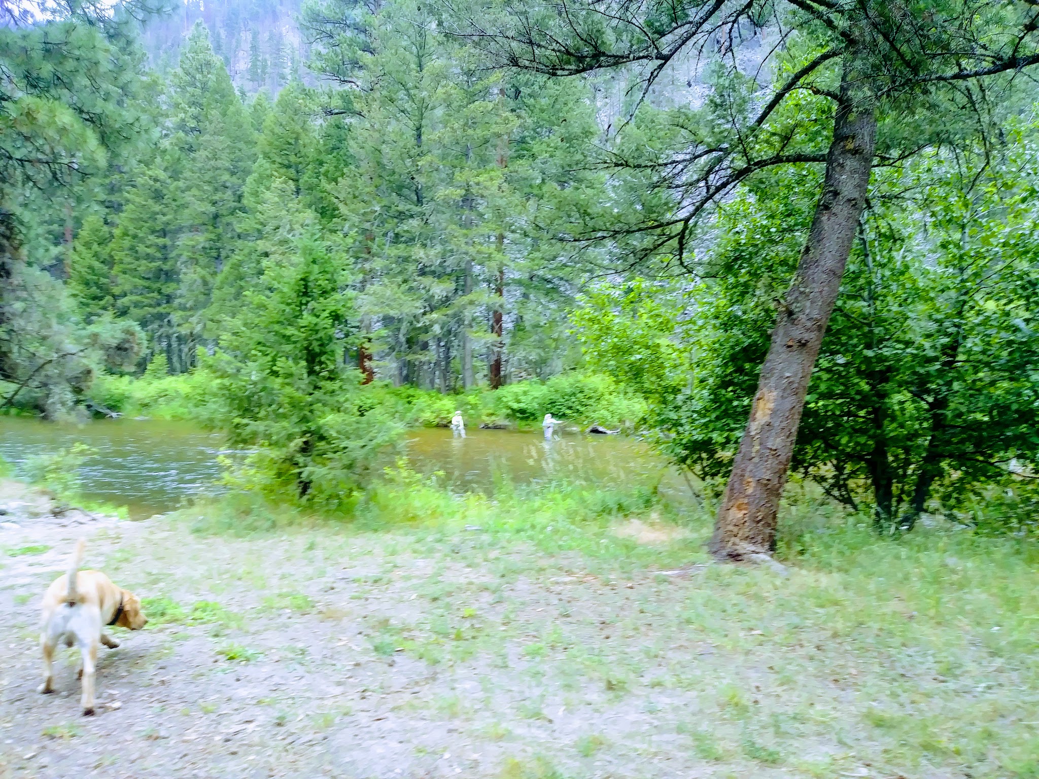 Harry'S Flat Campground