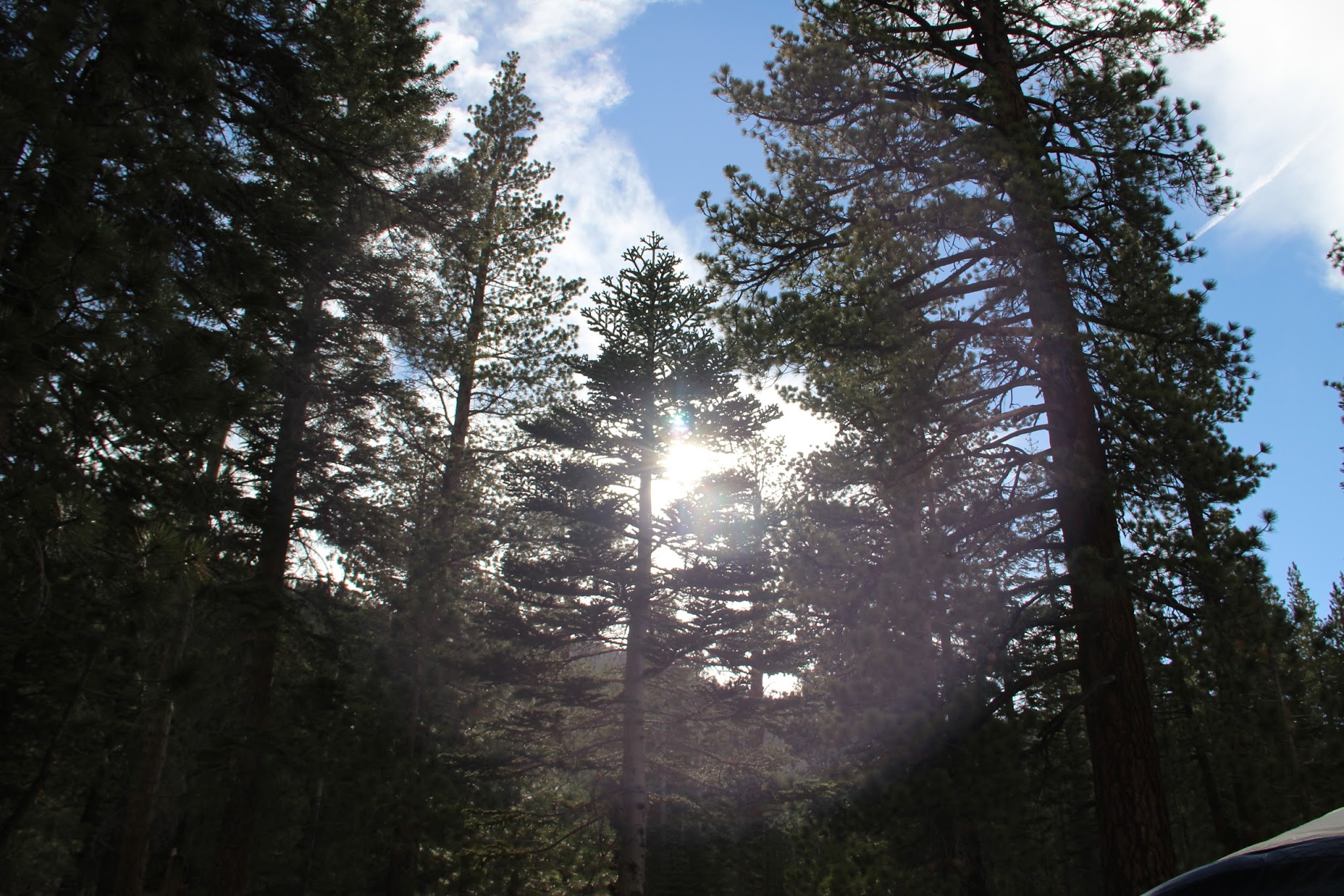 Hartley Springs Campground