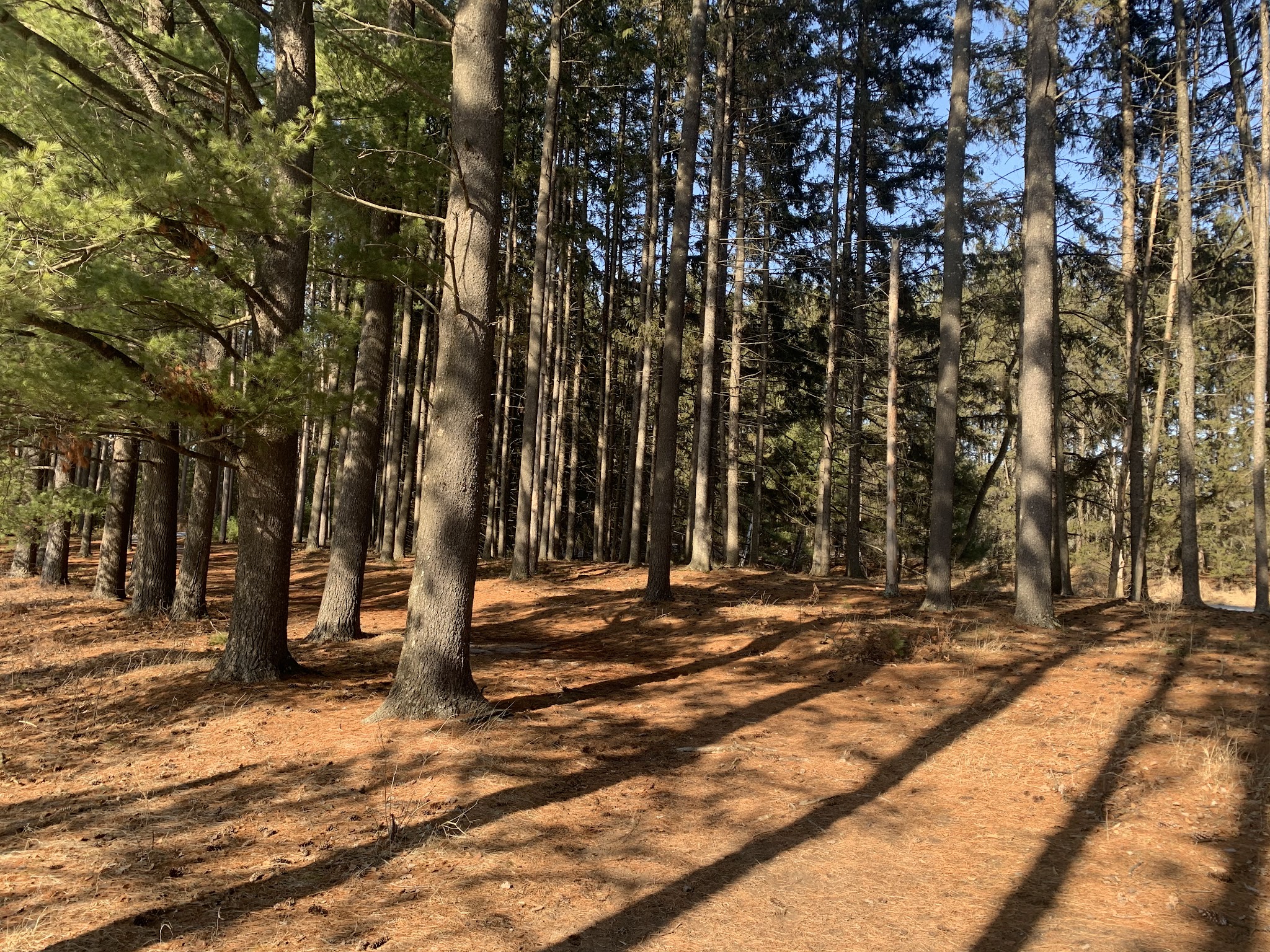 Hartman Creek State Park