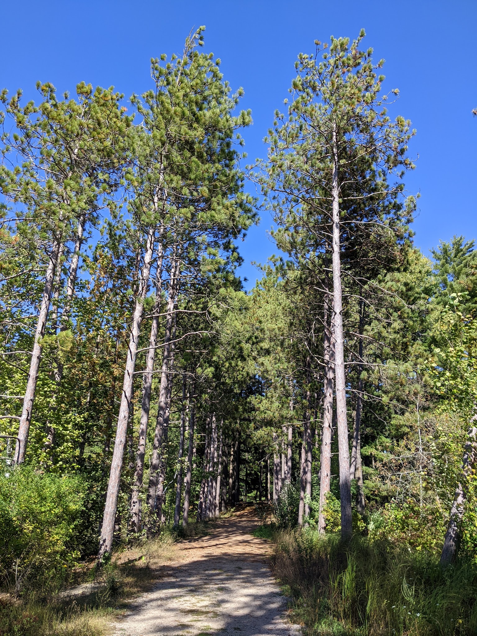 Hartman Creek State Park