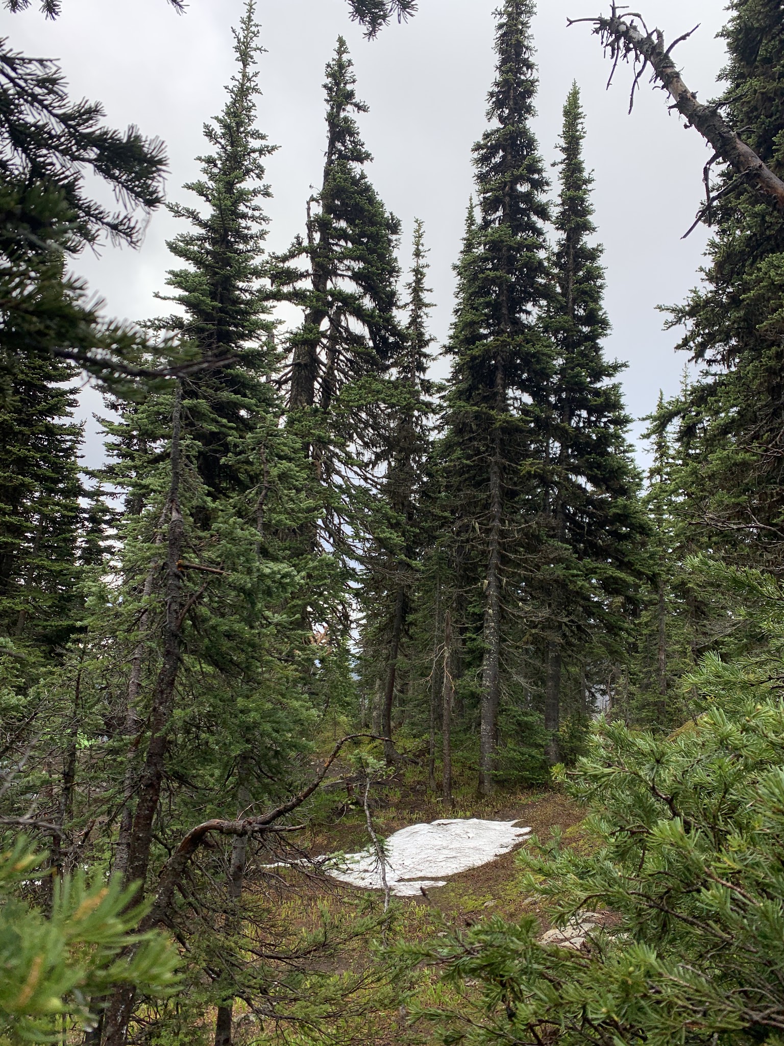 Hart'S Pass Campground