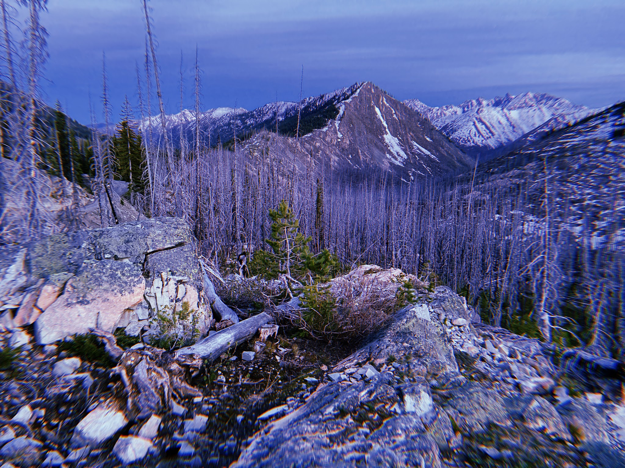 Hart'S Pass Campground