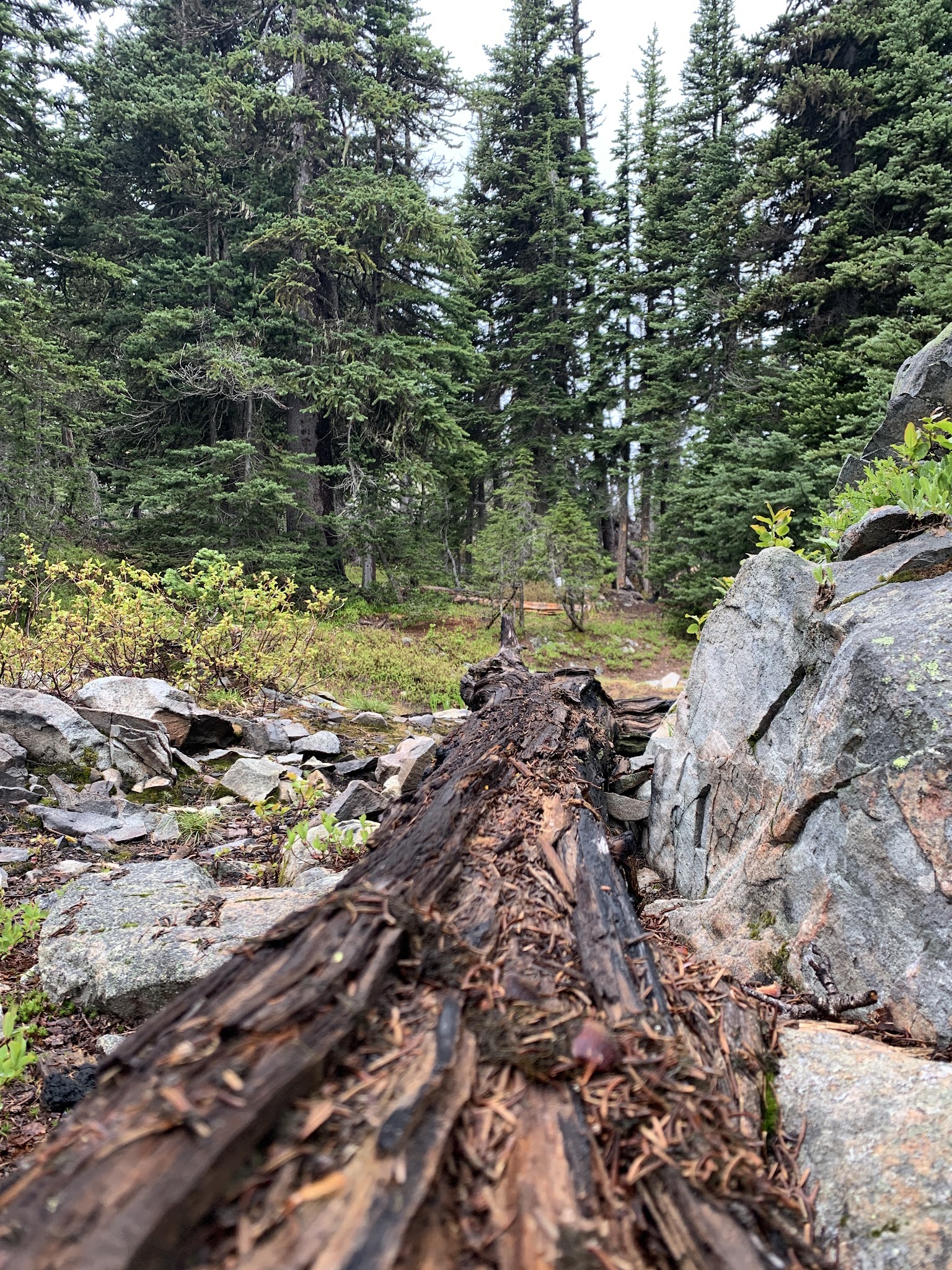 Hart'S Pass Campground