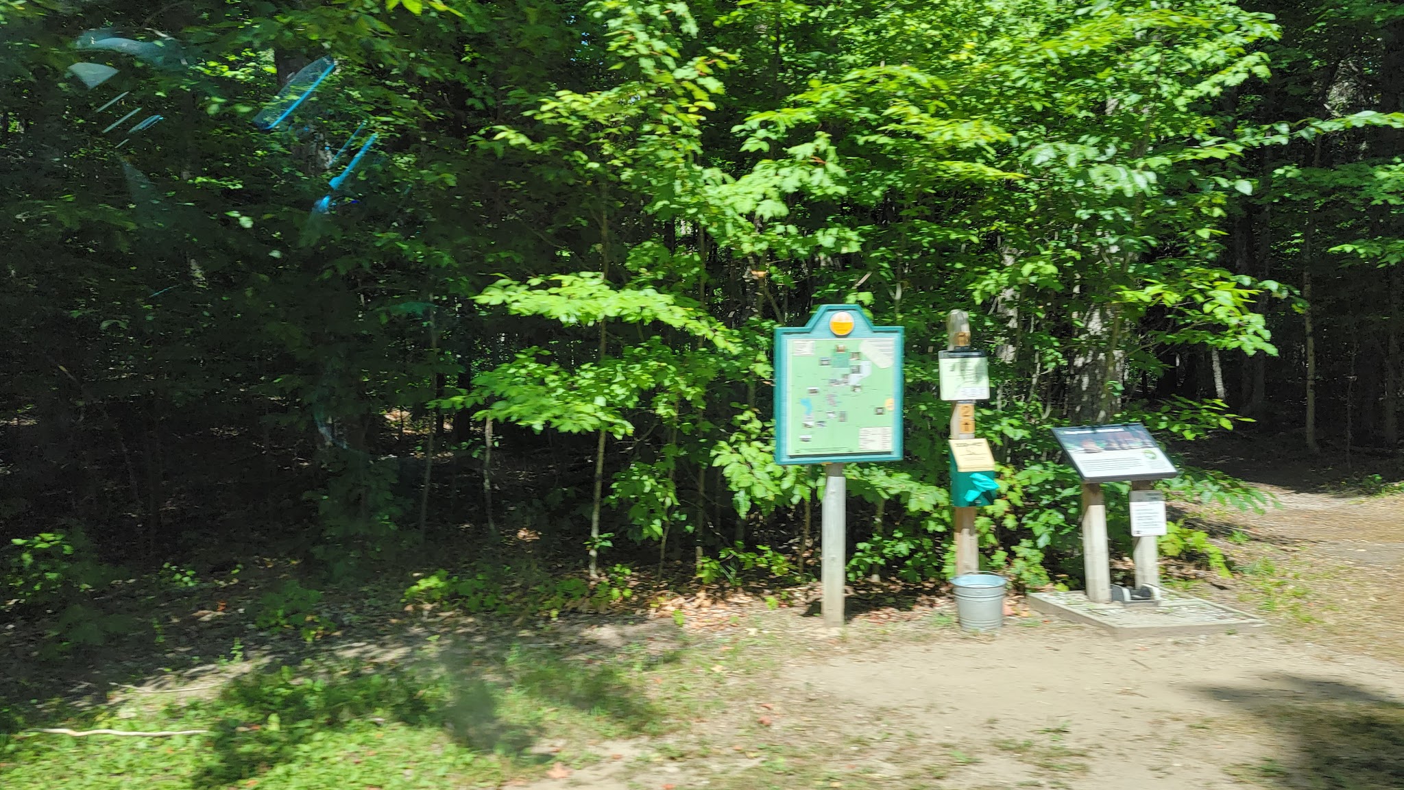 Hartwick Pines Group Camp