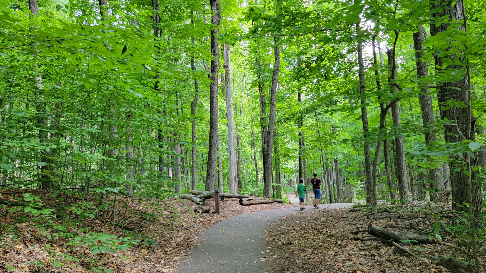 Hartwick Pines Group Camp
