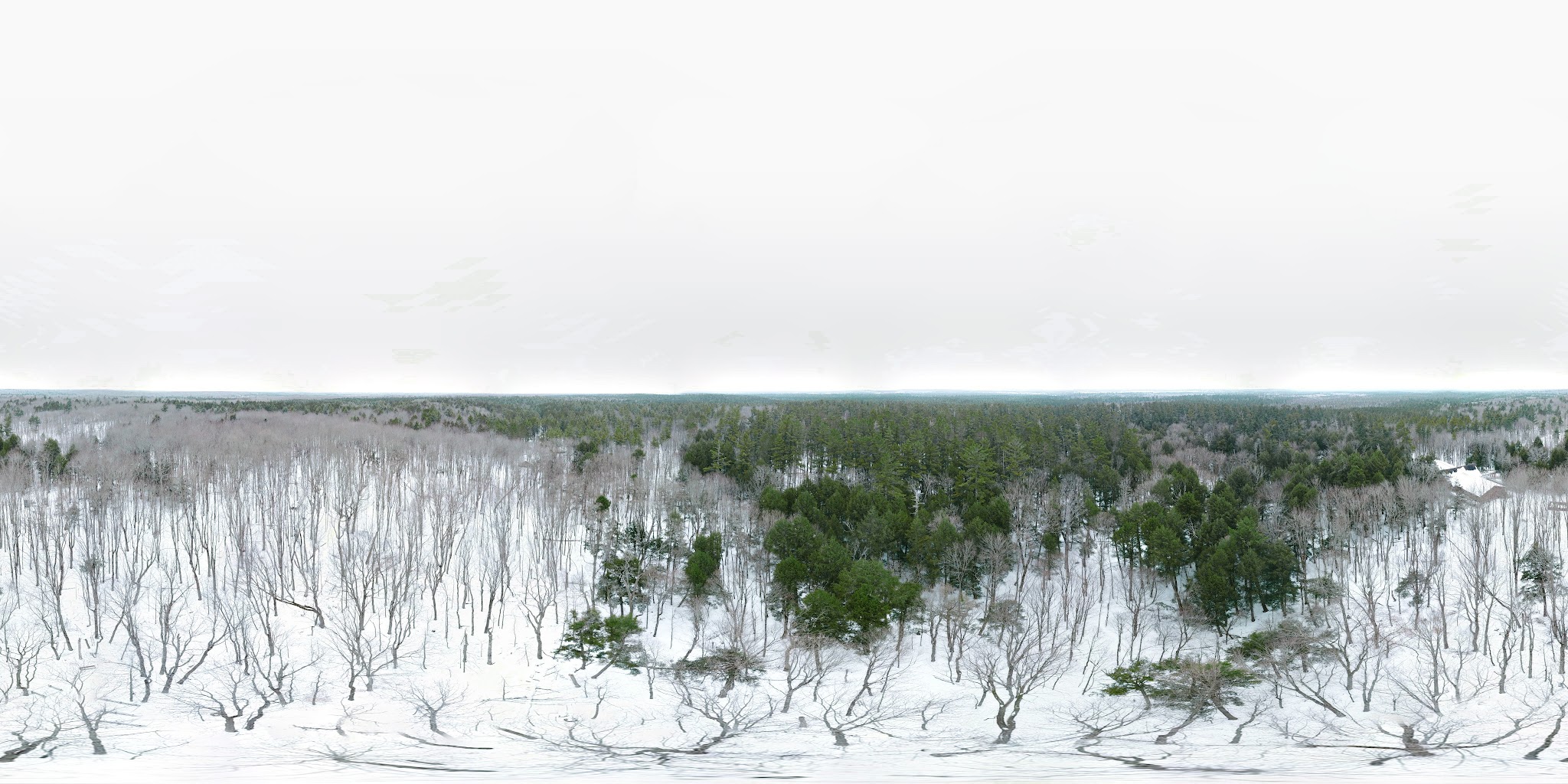 Hartwick Pines Group Camp