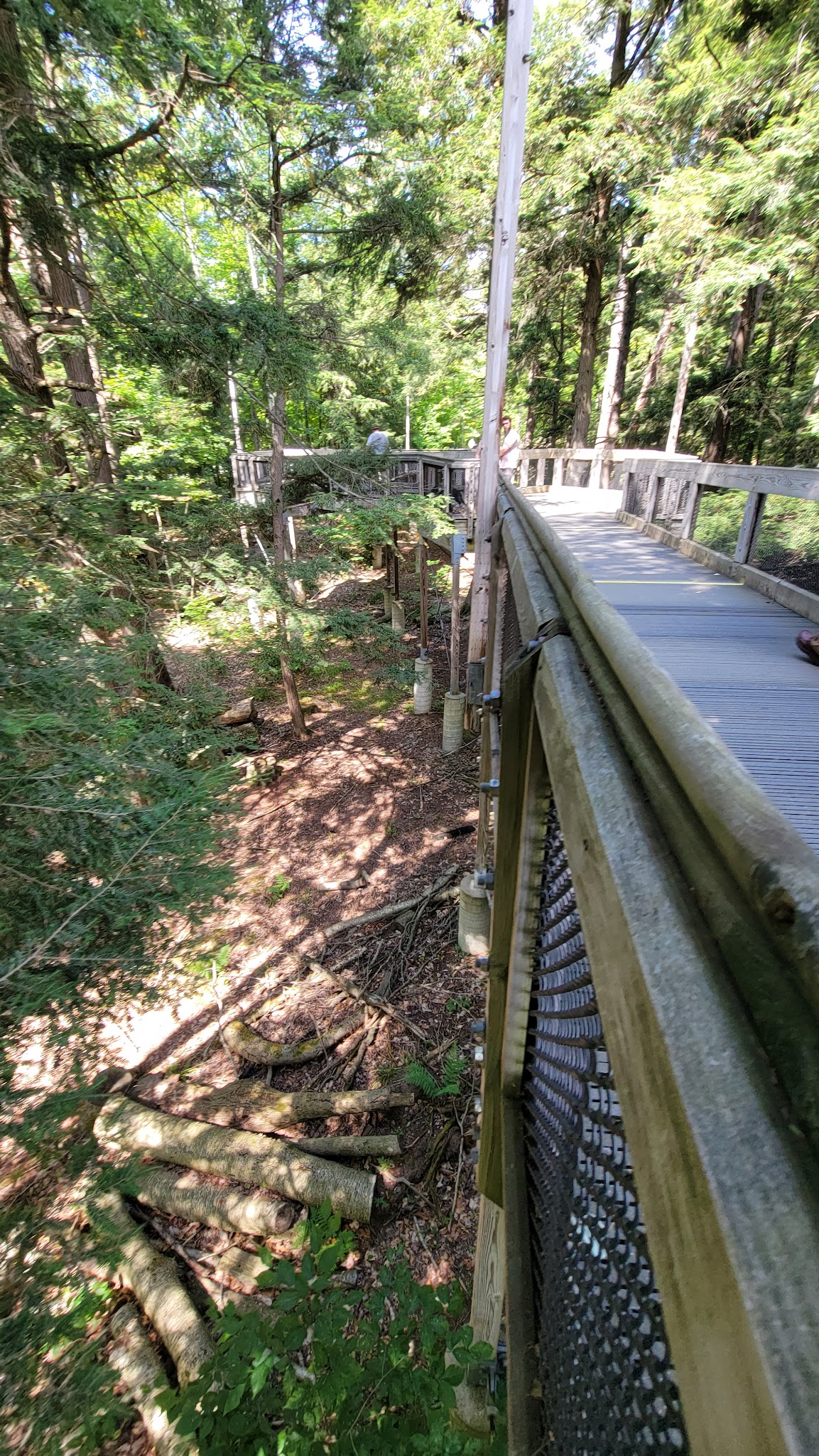 Hartwick Pines Group Camp