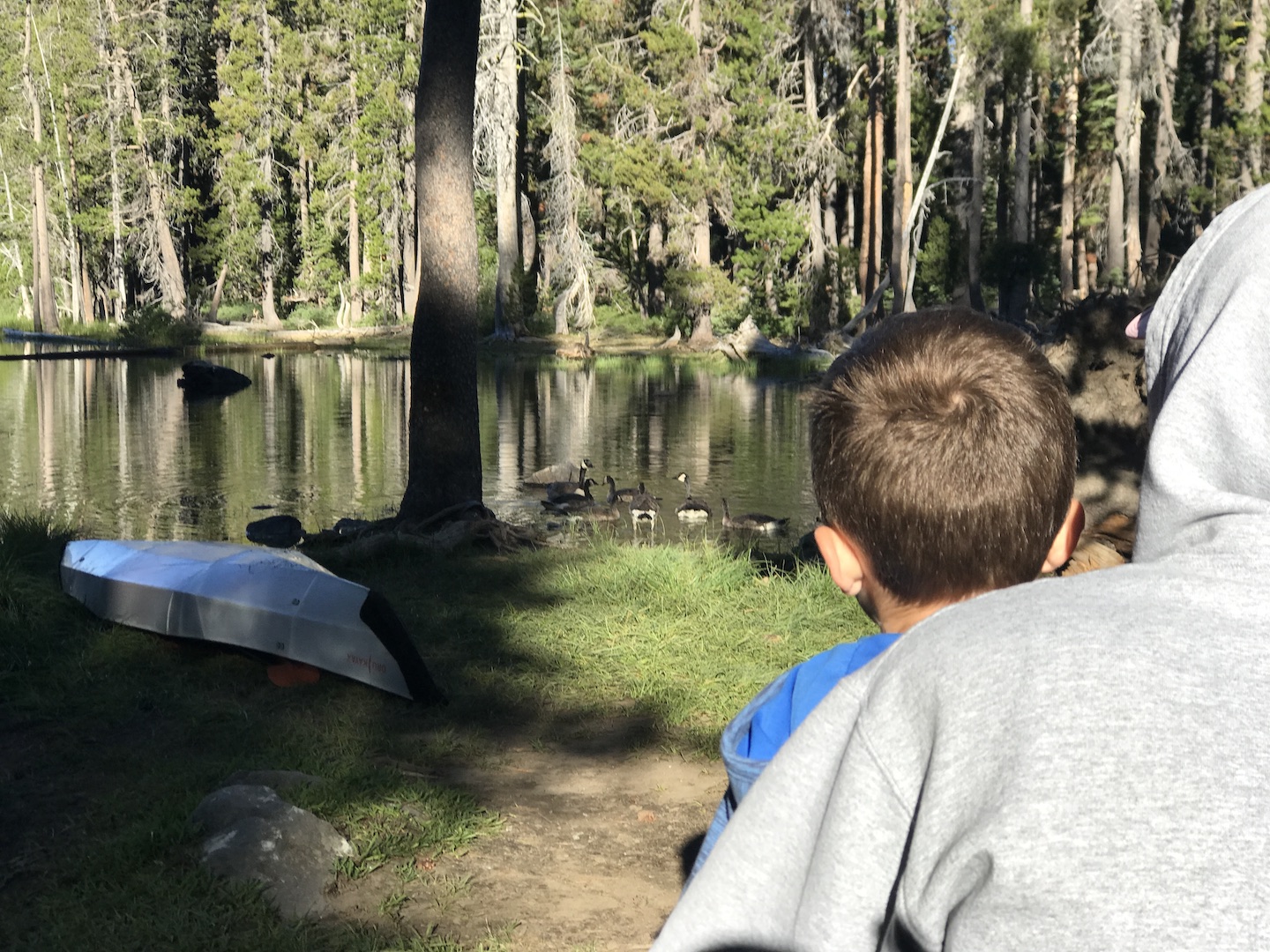 Haven Lake Campground