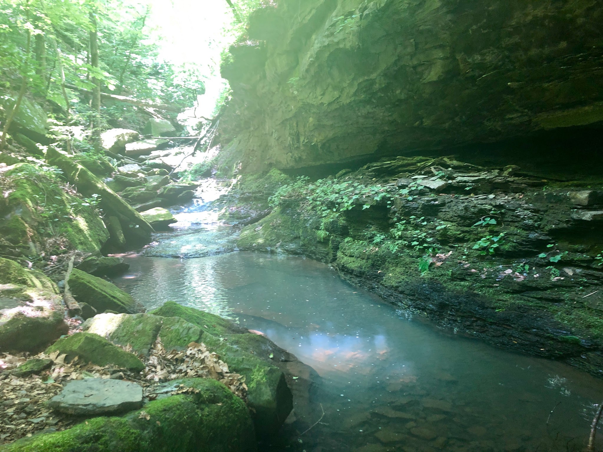 Haw Creek Falls Point Of Interest