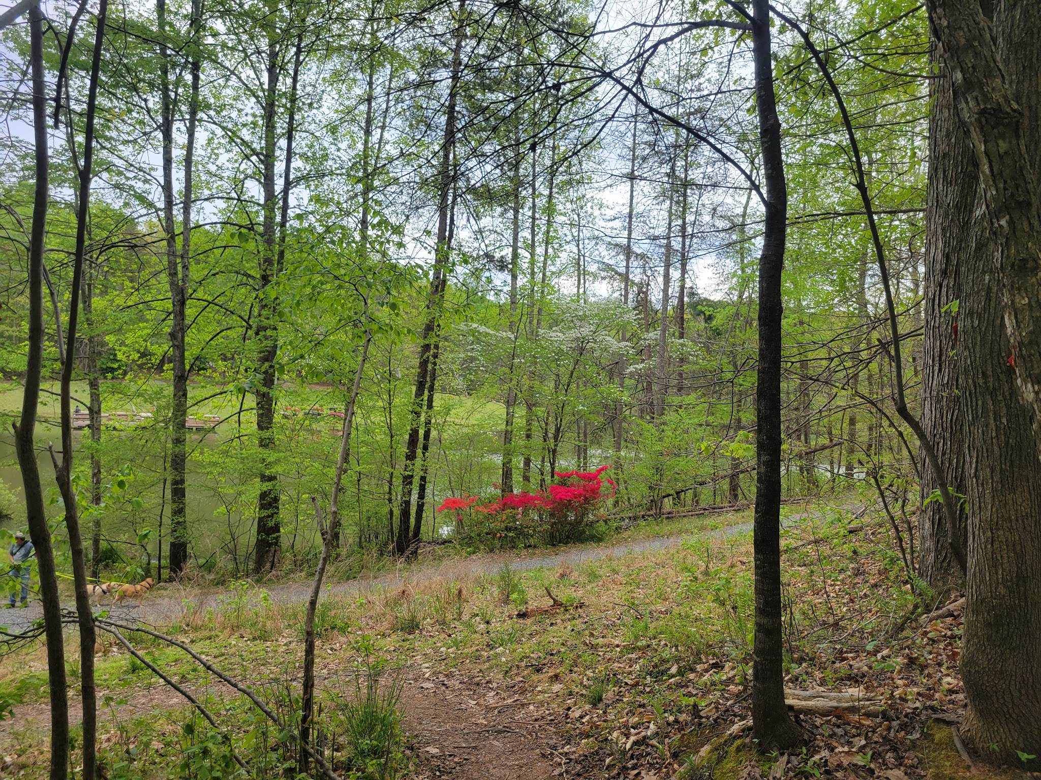 Haw River State Park
