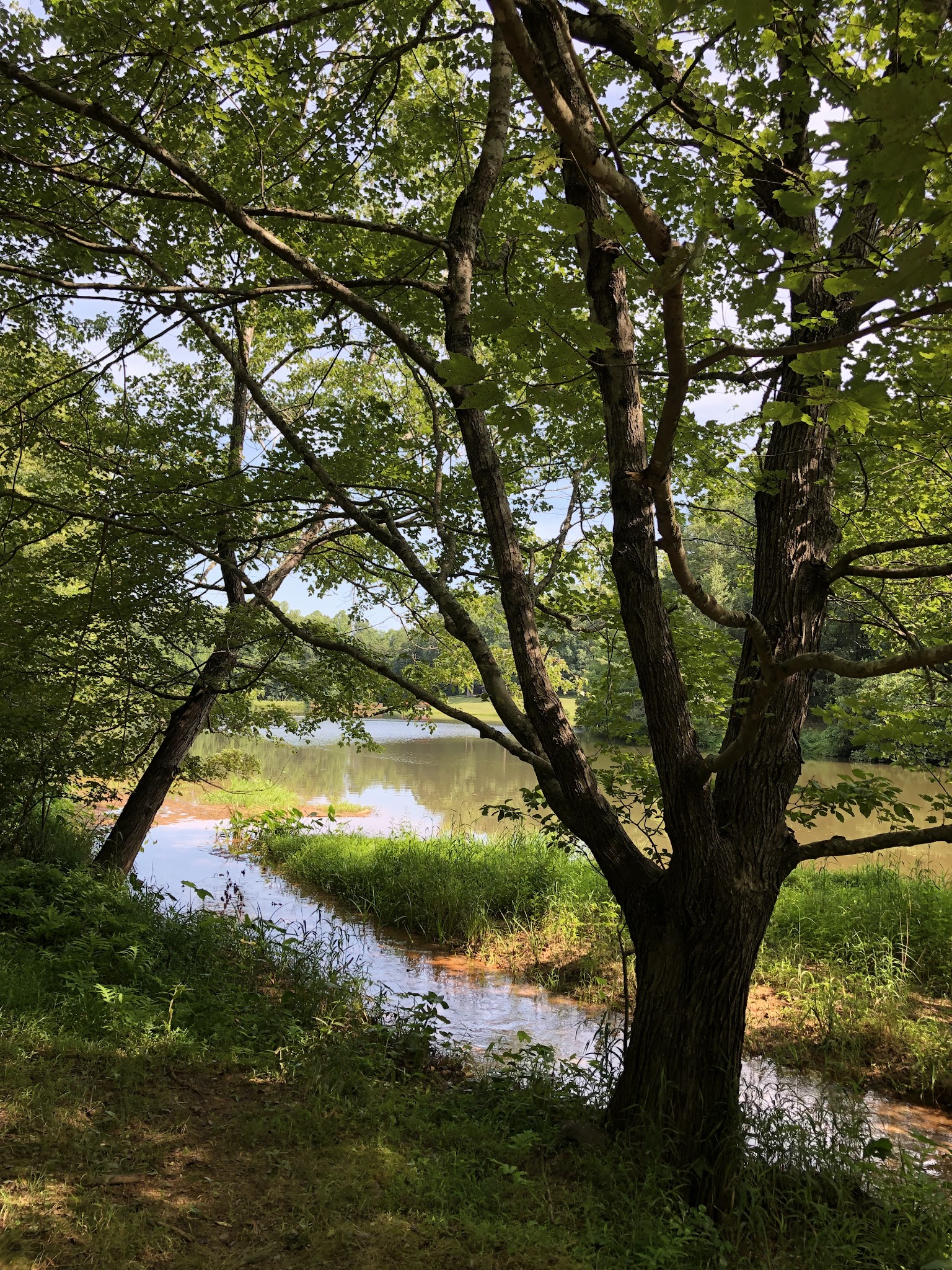 Haw River State Park