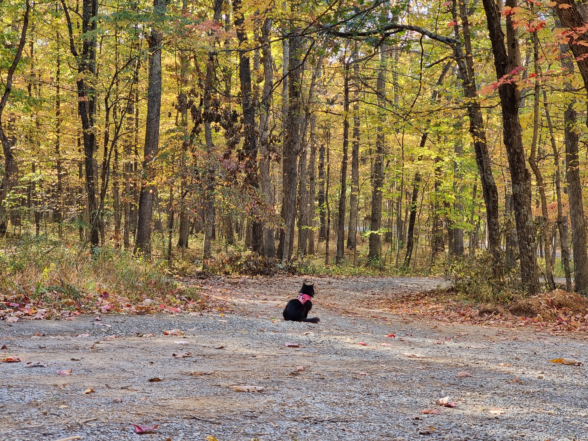 Hawk Recreation Area
