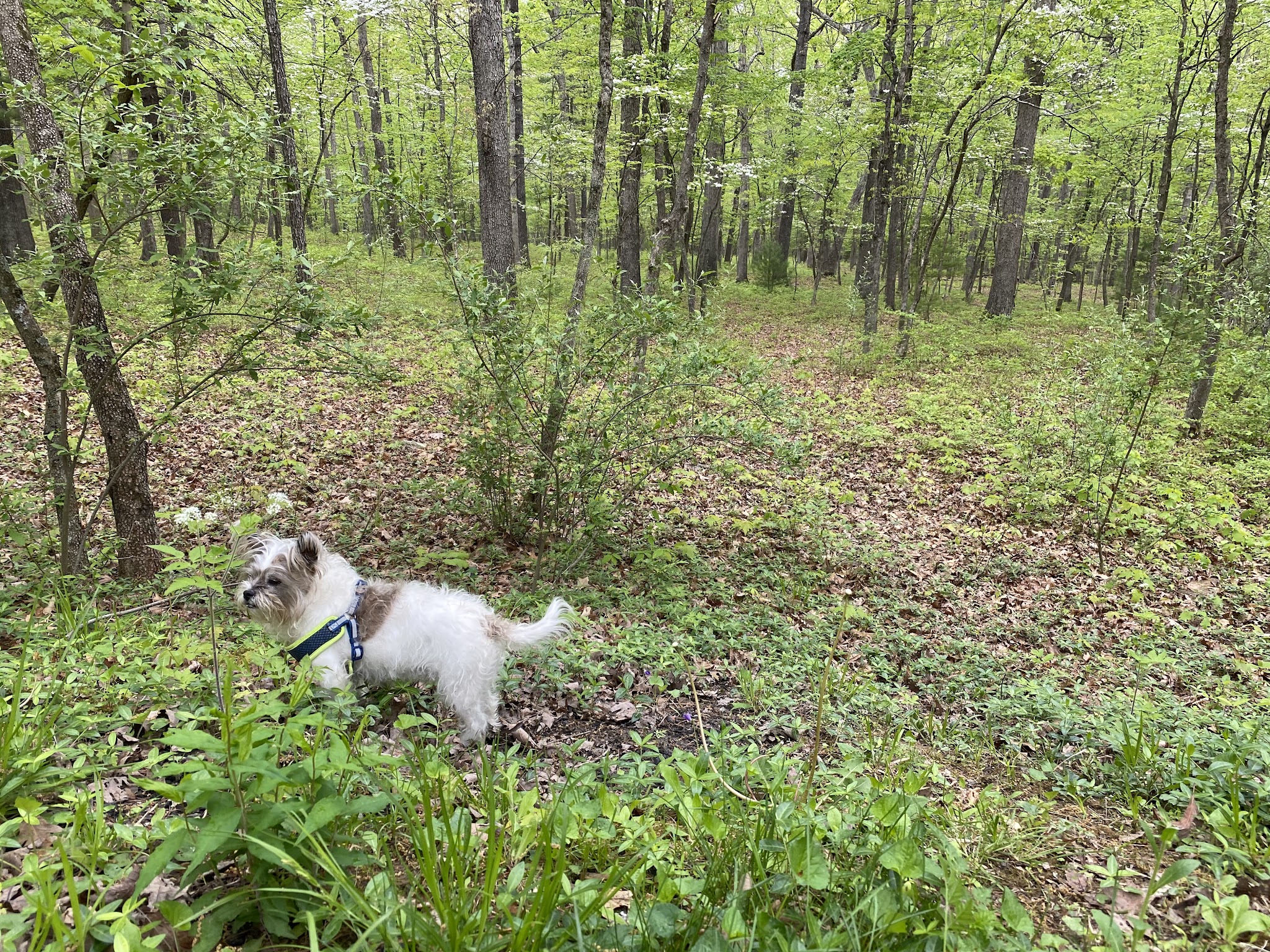 Hawk Recreation Area