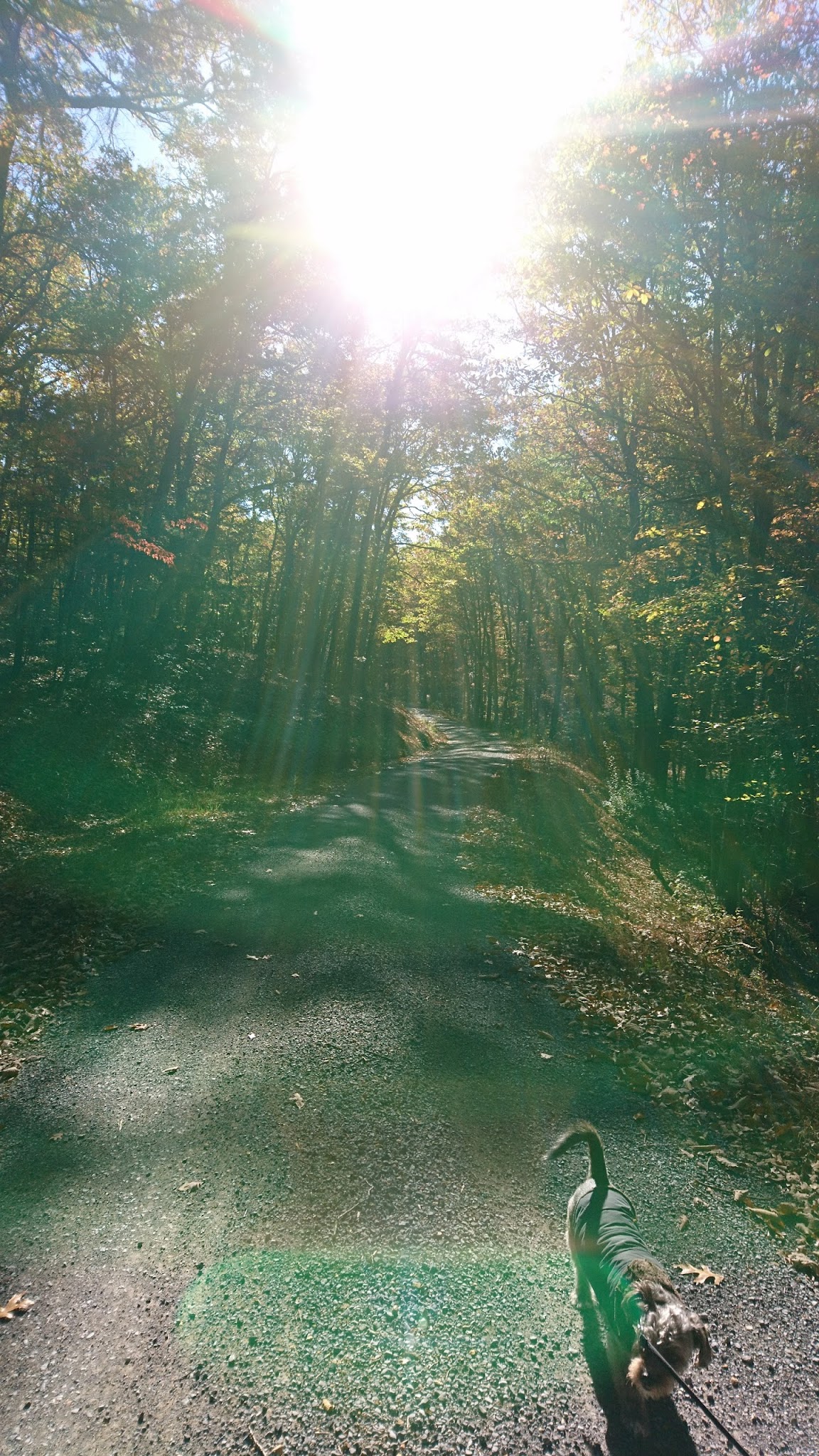 Hawk Recreation Area