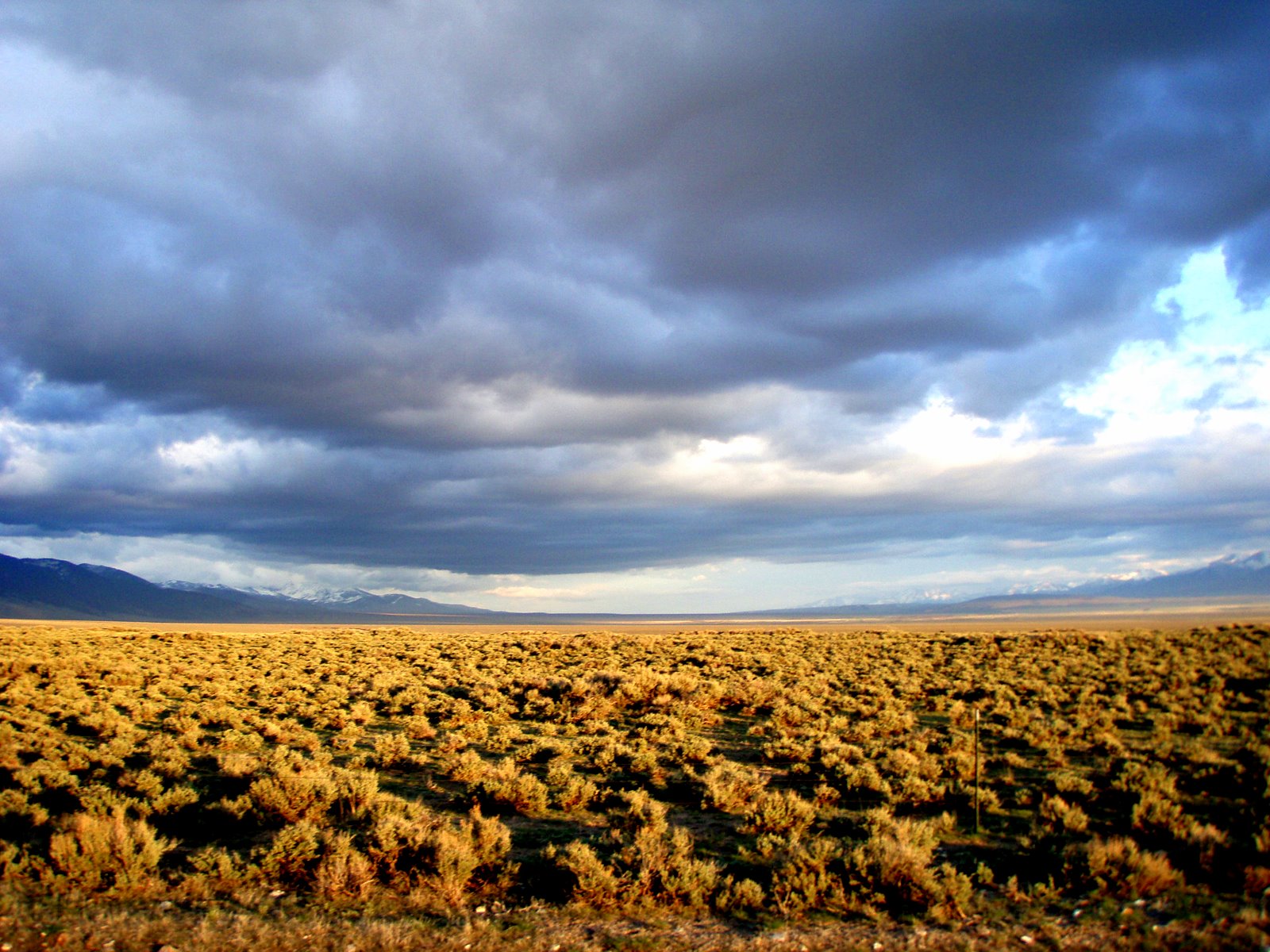 Reservoir Creek Campground