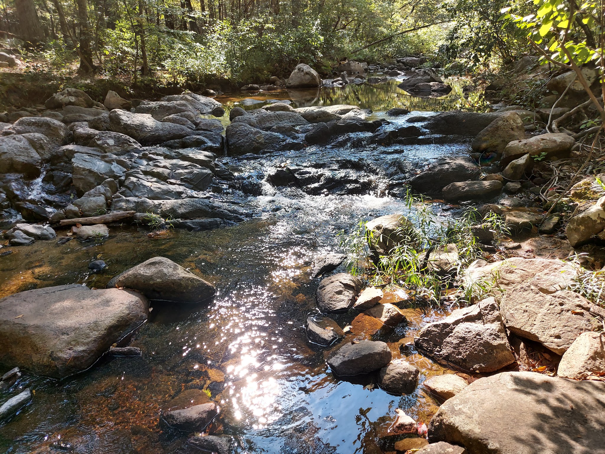 Hawn State Park Campground