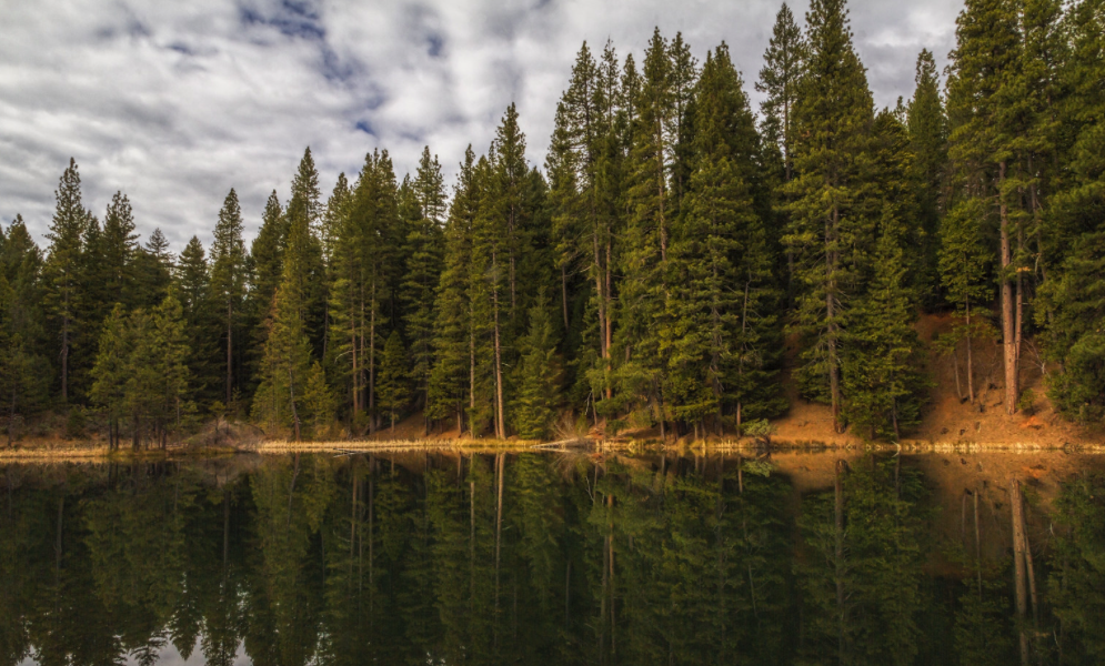 Hayden Flat Group Campground