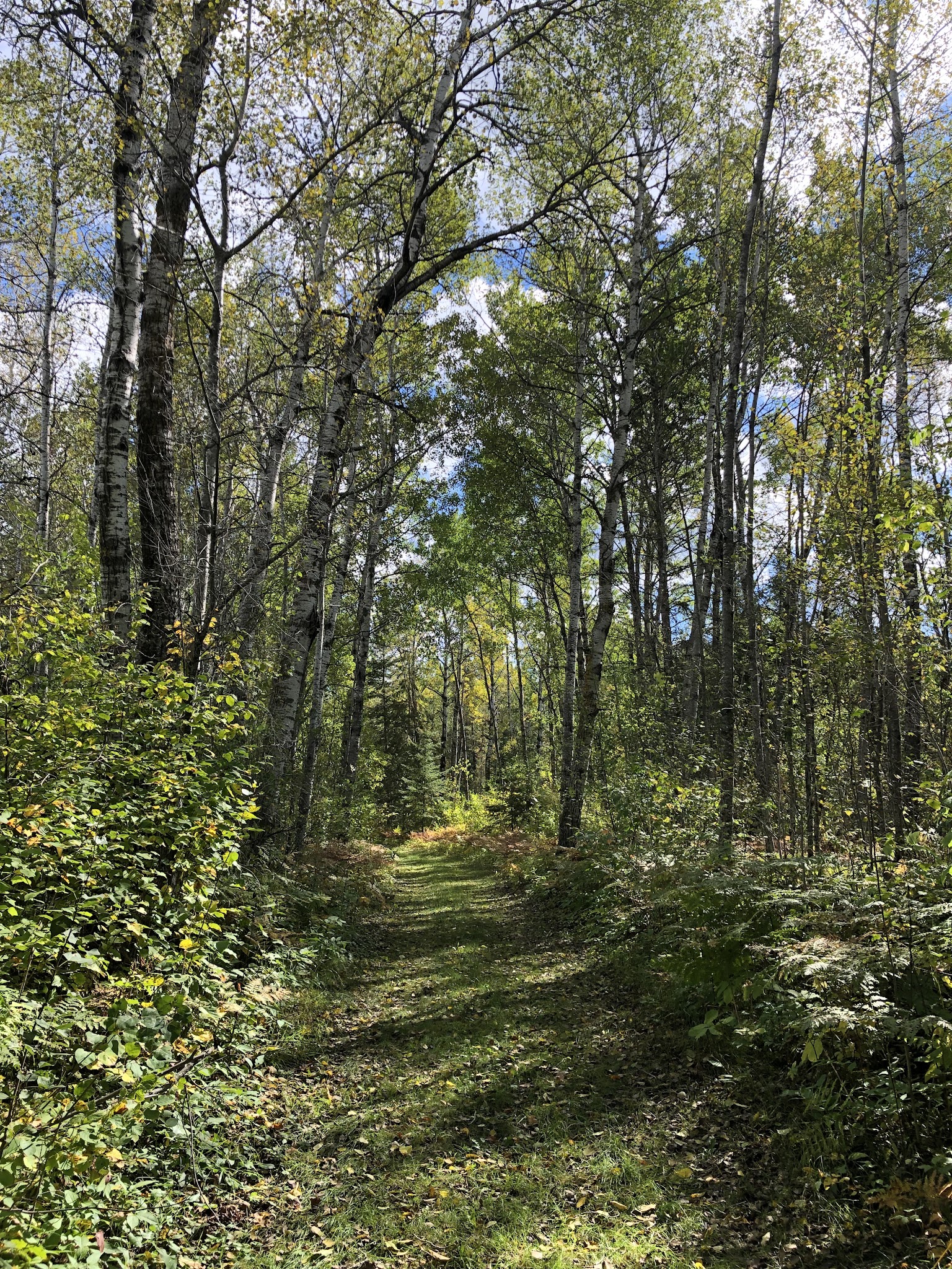 Hayes Lake Campground