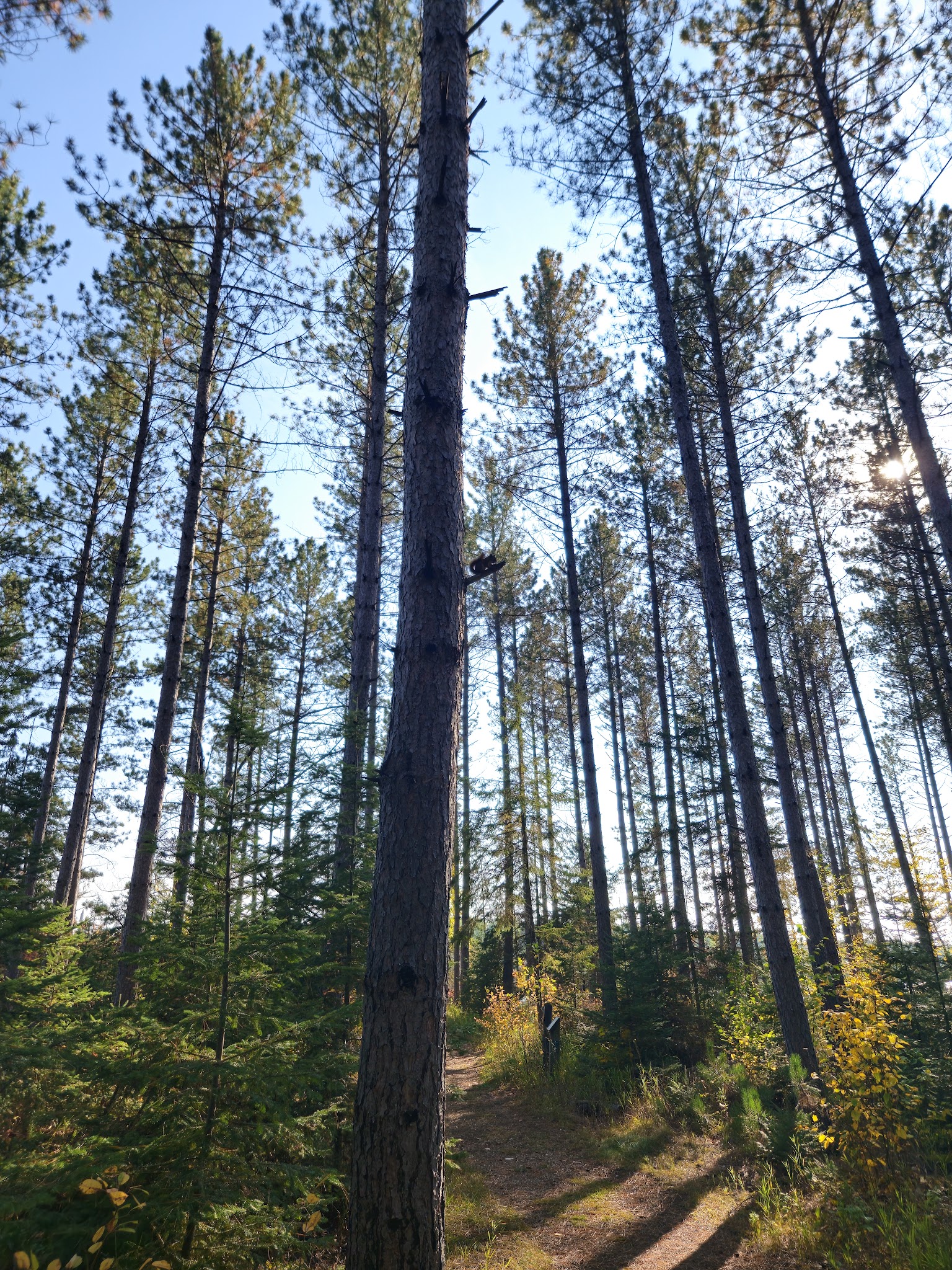 Hayes Lake Campground