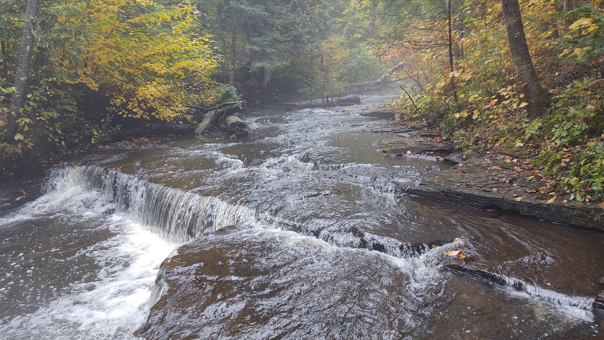Haymeadow Creek Campsites