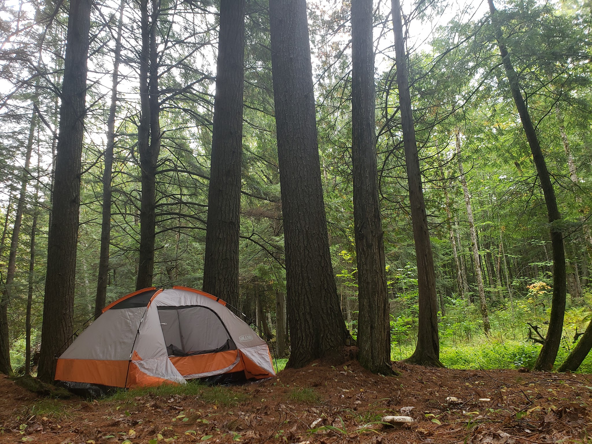 Haymeadow Creek Campsites