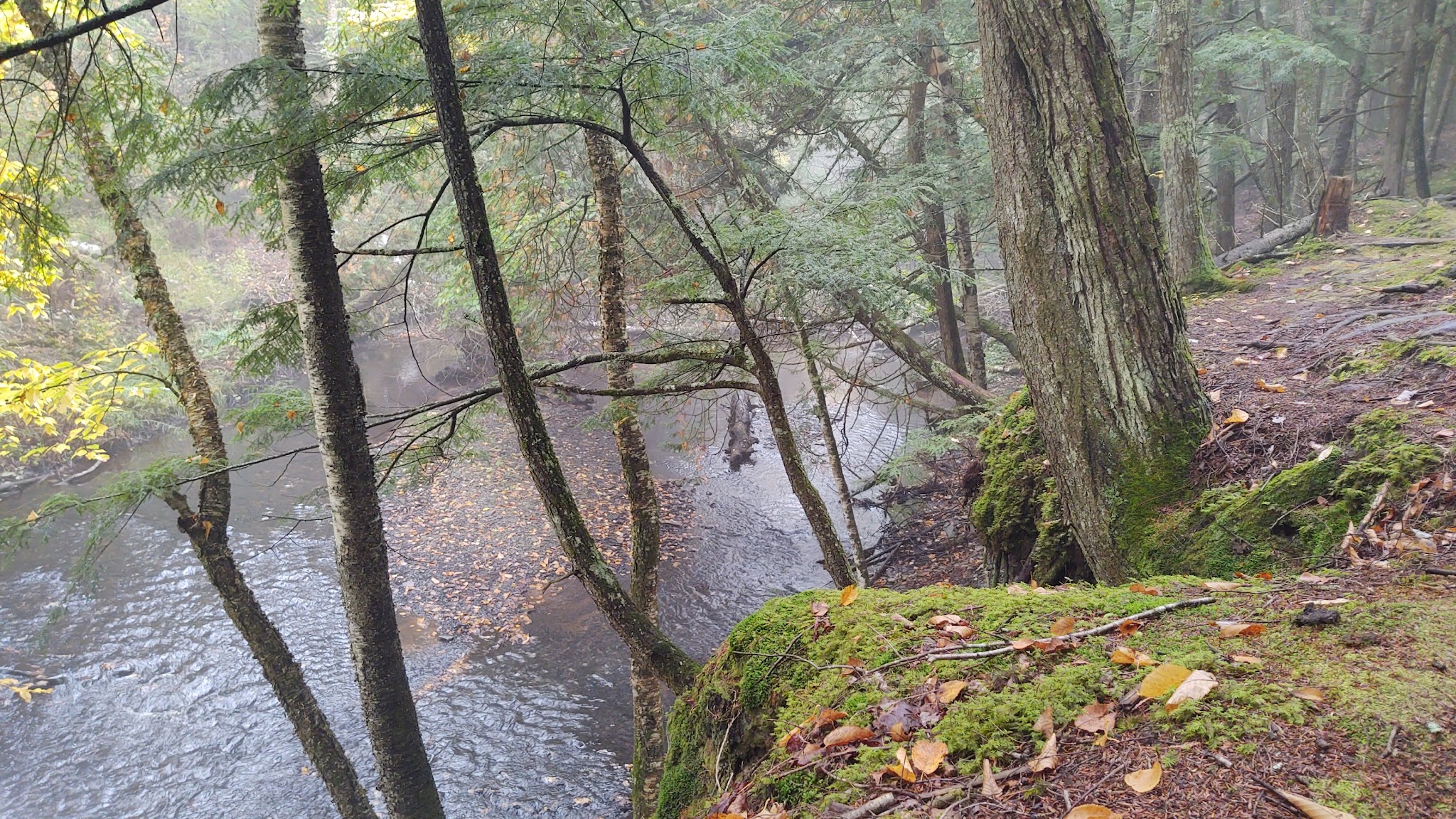 Haymeadow Creek Campsites
