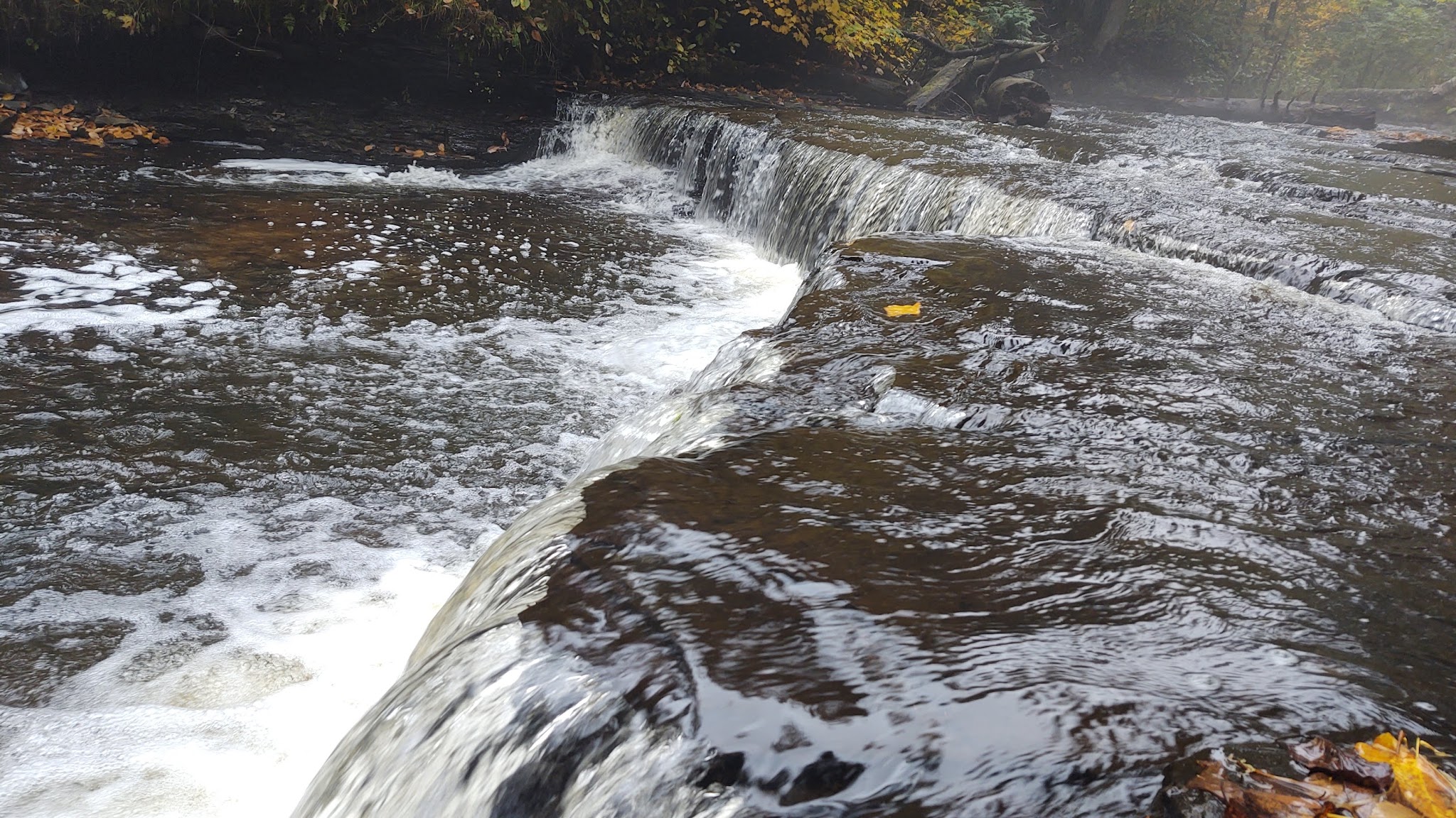 Haymeadow Creek Campsites