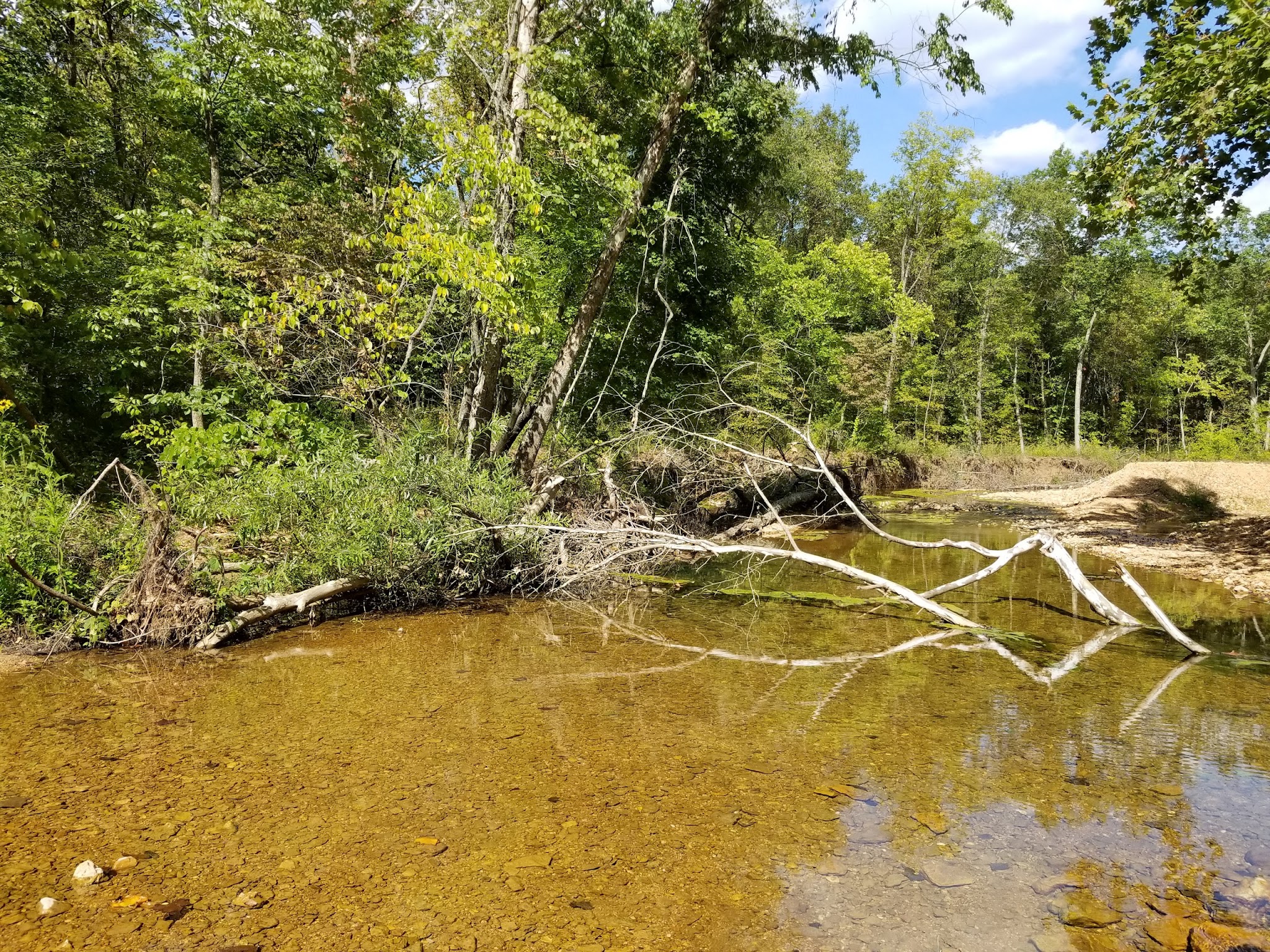 Hazel Creek Campground