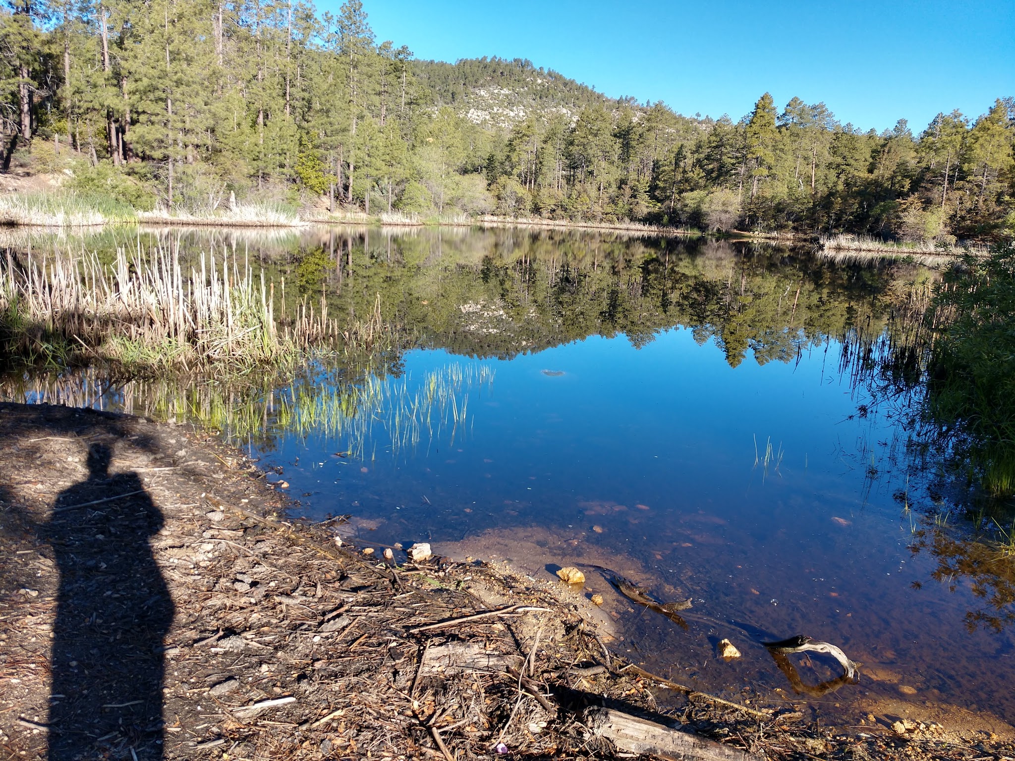 Hazlett Hollow Campground