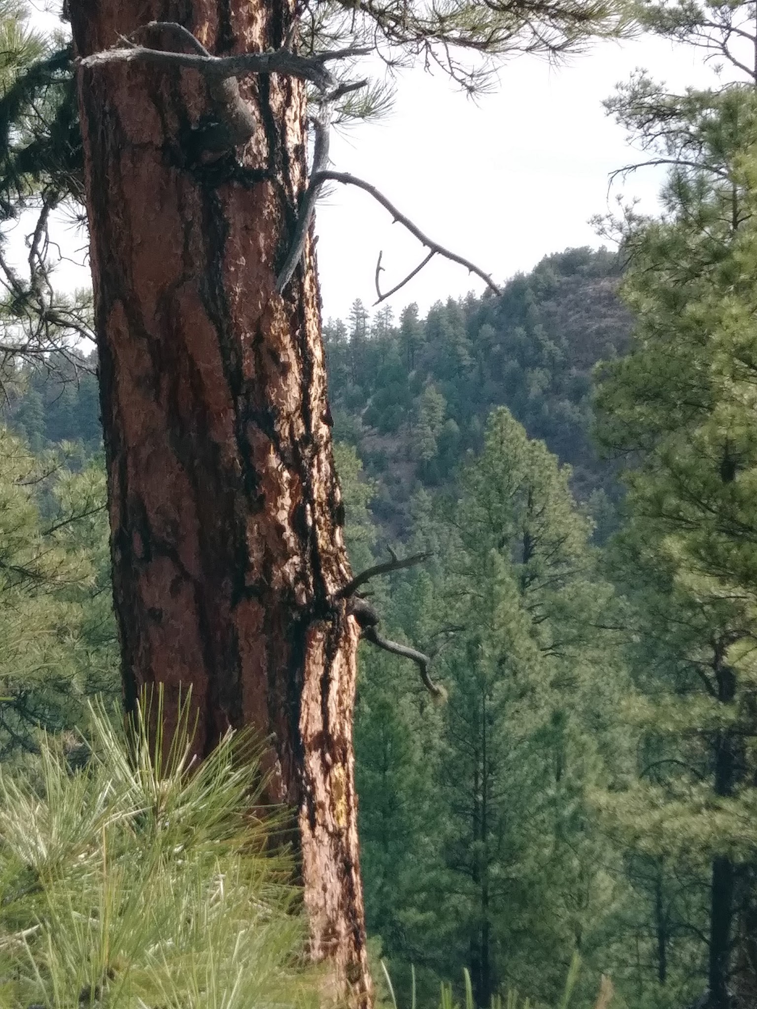 Head Of The Ditch Campground