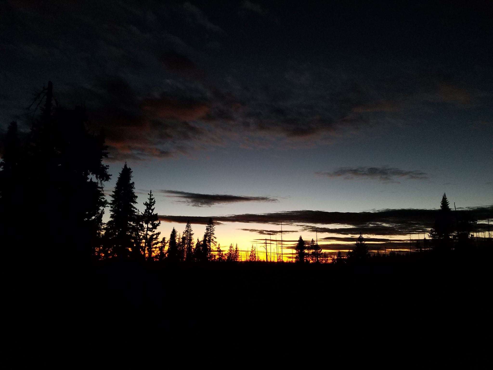 Head O' Boulder Forest Camp