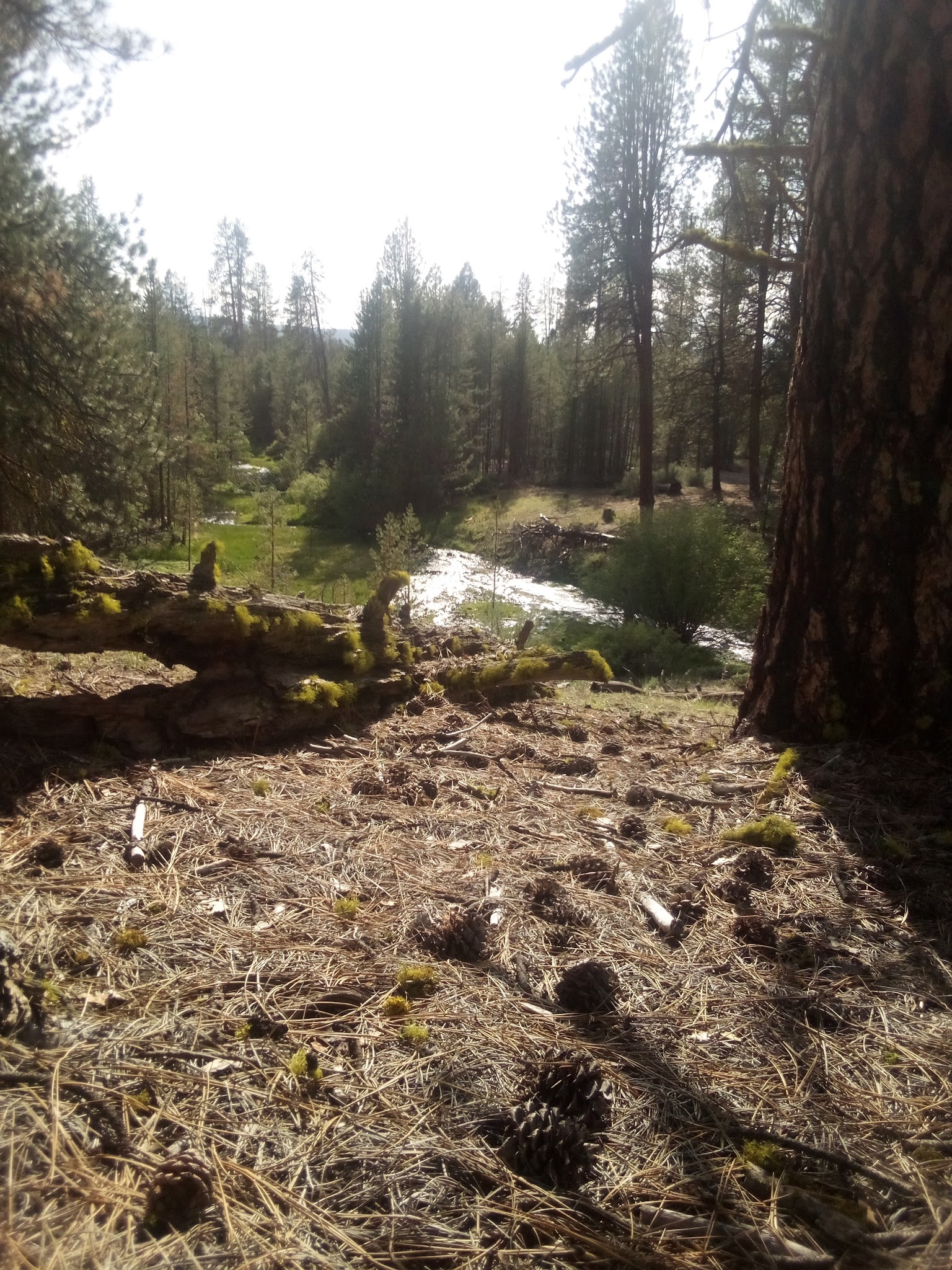 Head Of The River Campground