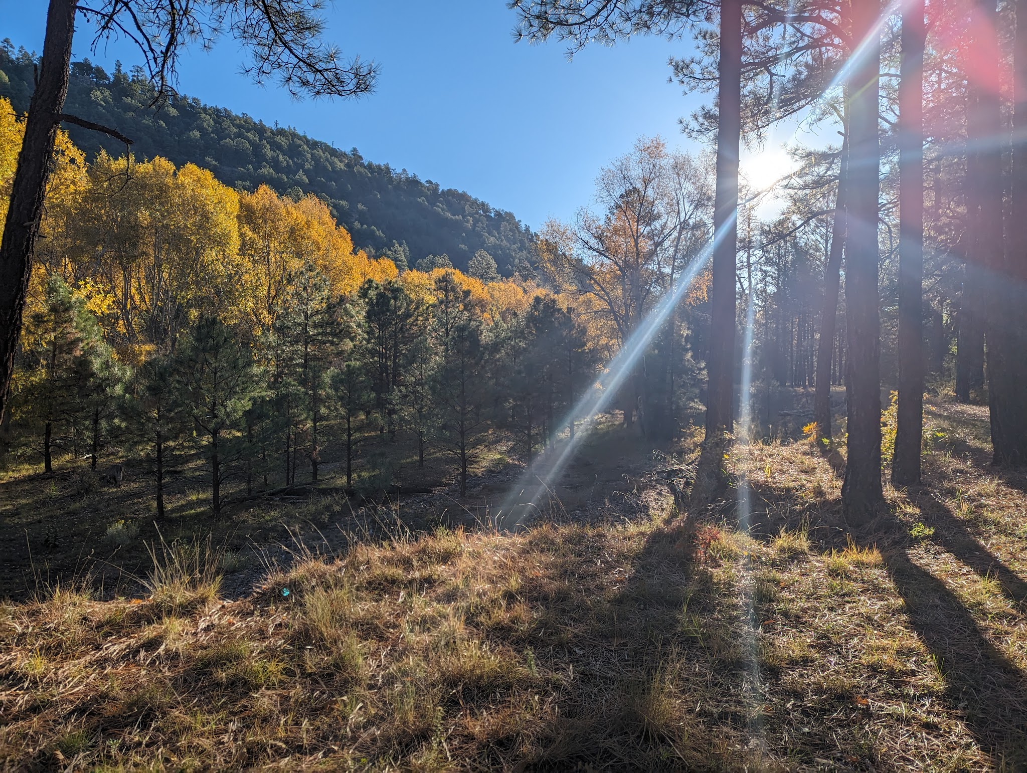 Head Of The Ditch Campground