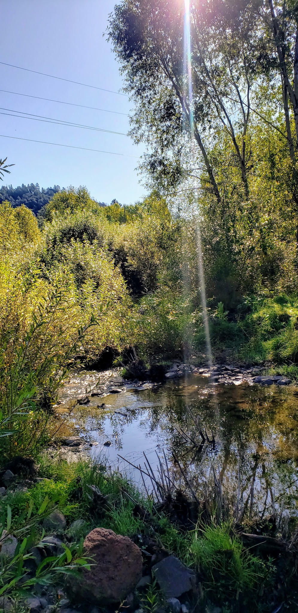 Head Of The Ditch Campground