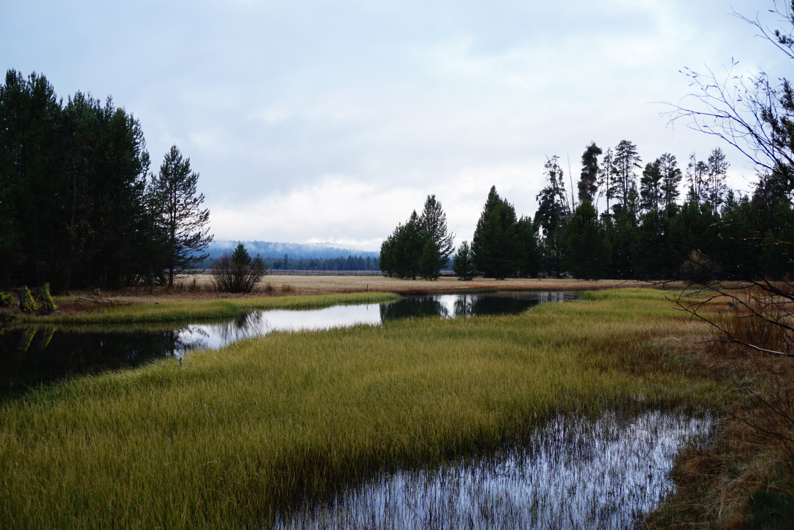 Head Of The River Campground