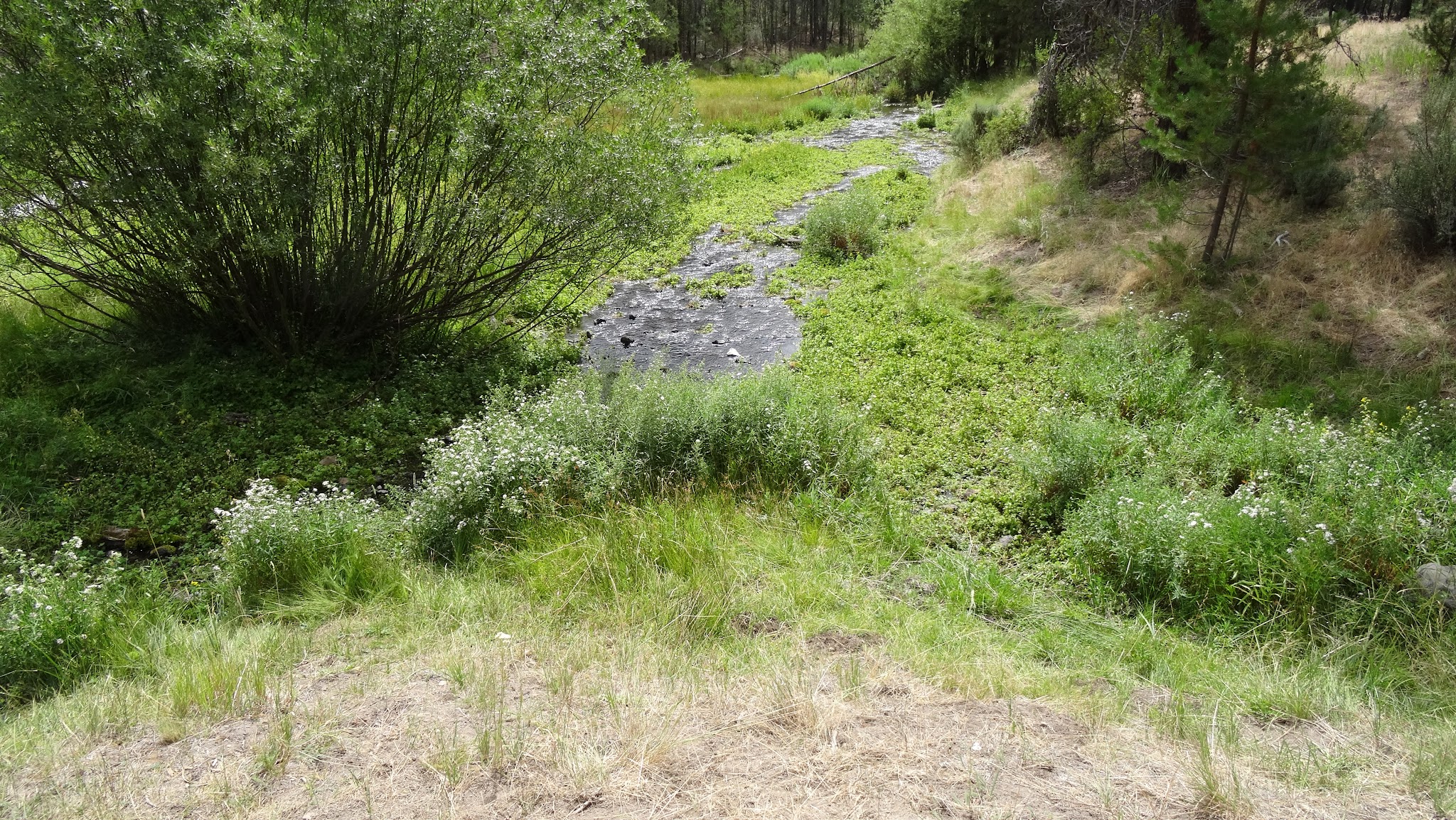 Head Of The River Campground