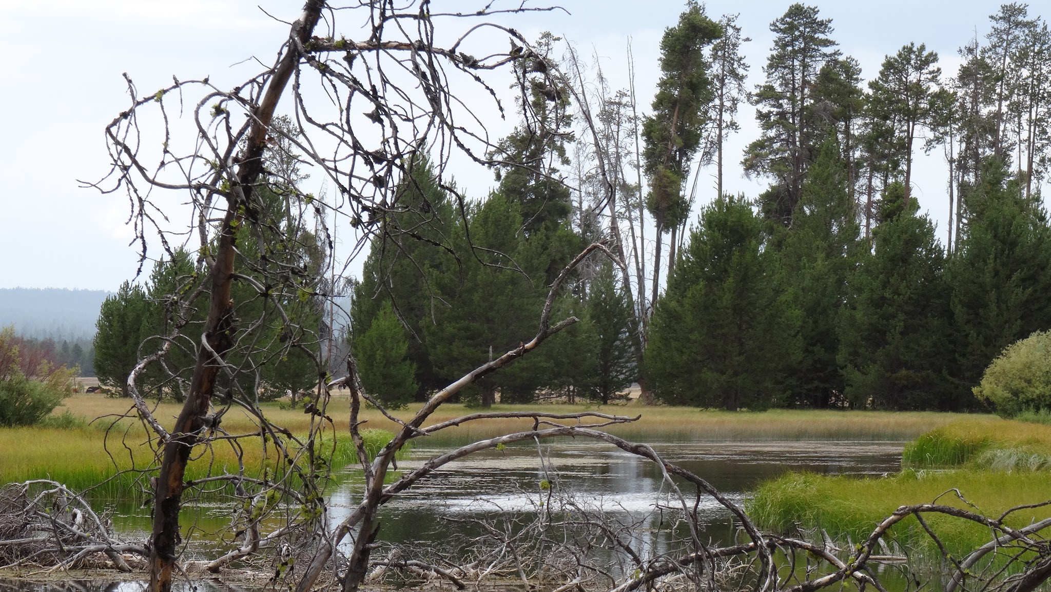 Head Of The River Campground