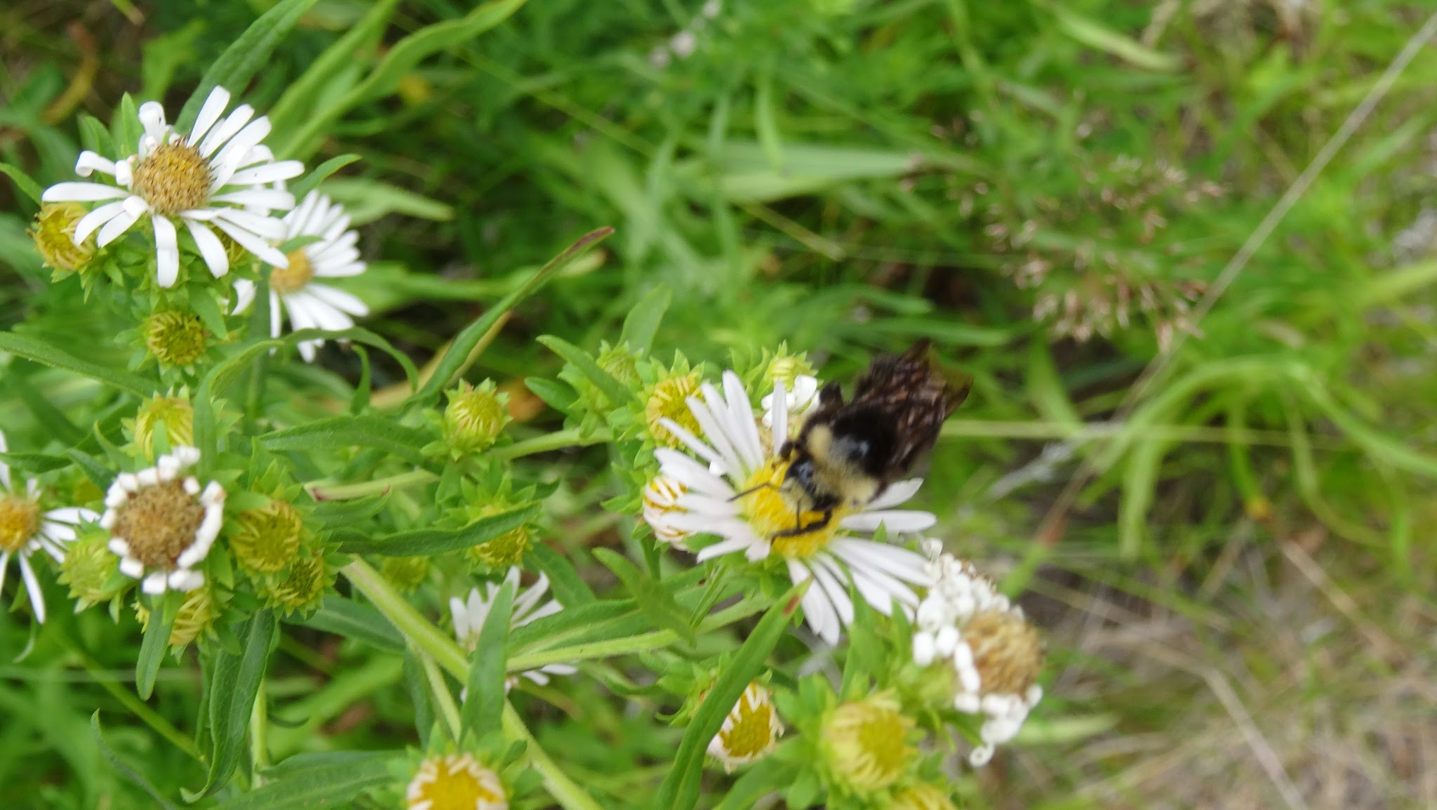 Head Of The River Campground