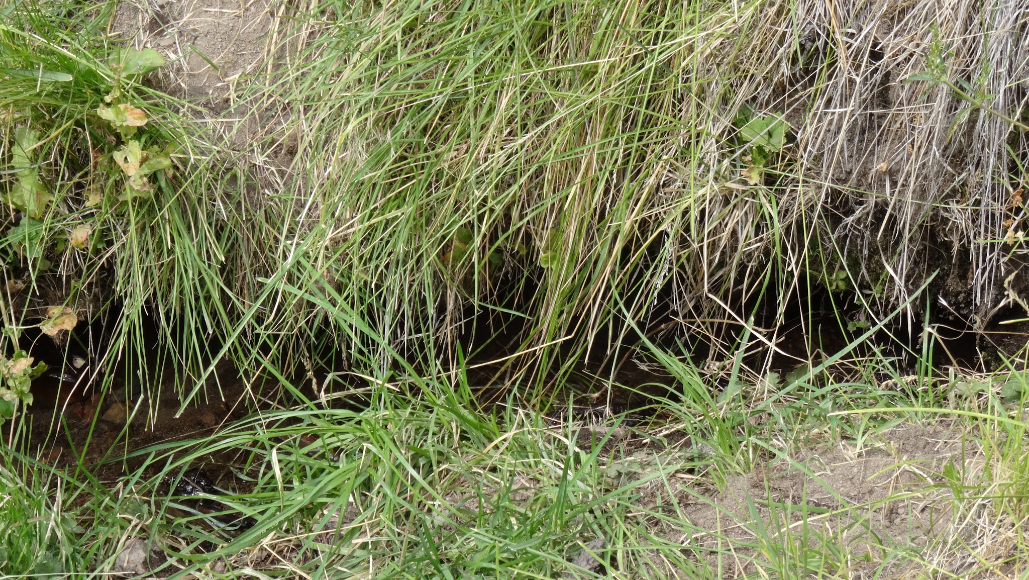 Head Of The River Campground